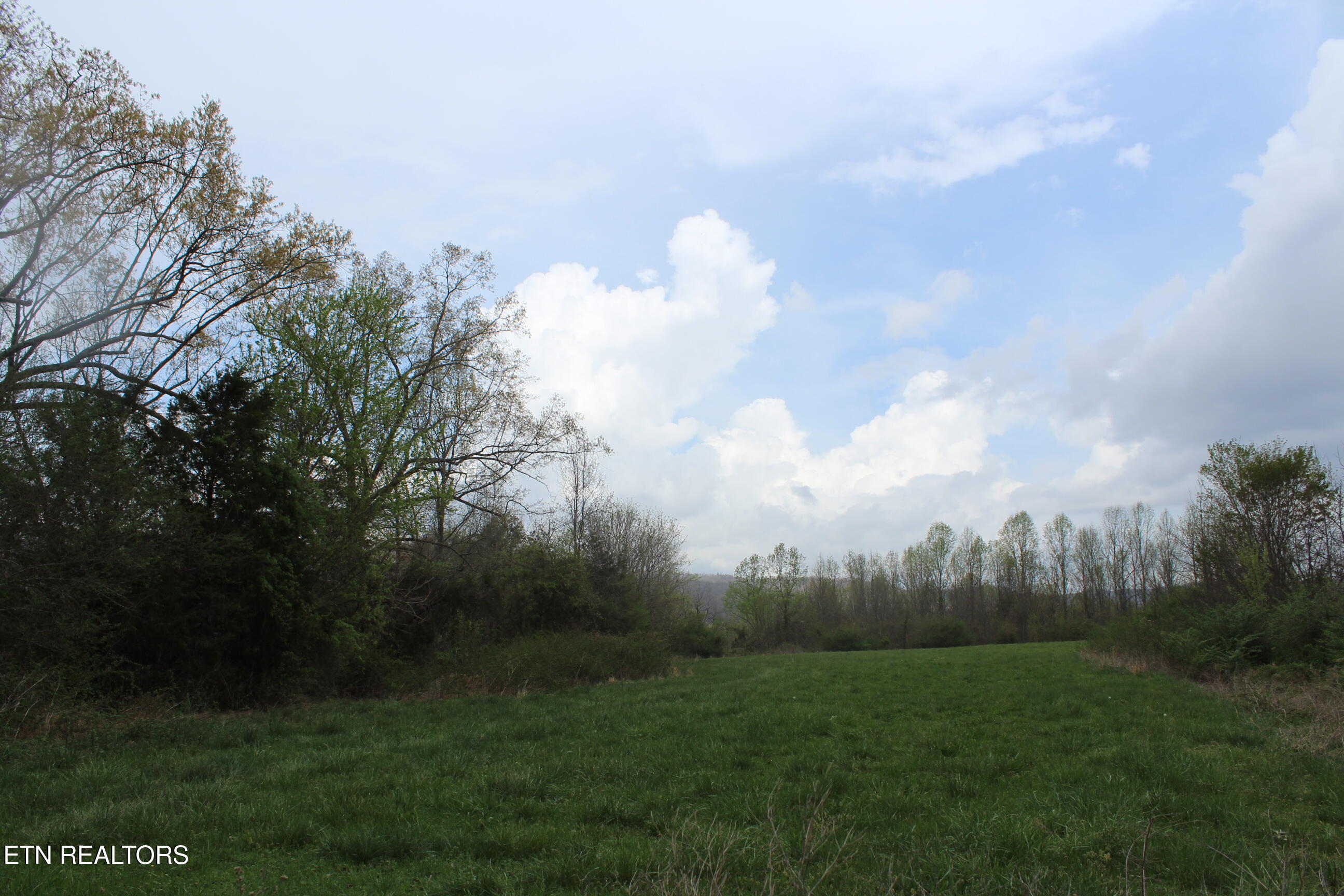 171 Gooseneck Lane Jamestown TN 38556