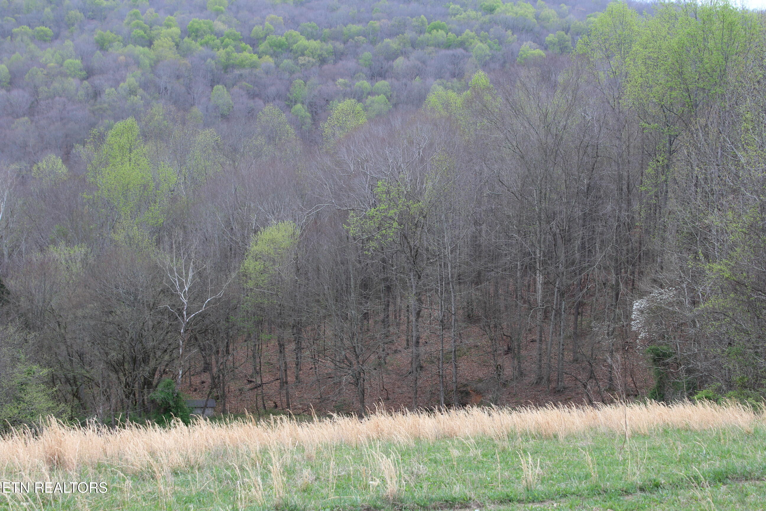 171 Gooseneck Lane Jamestown TN 38556