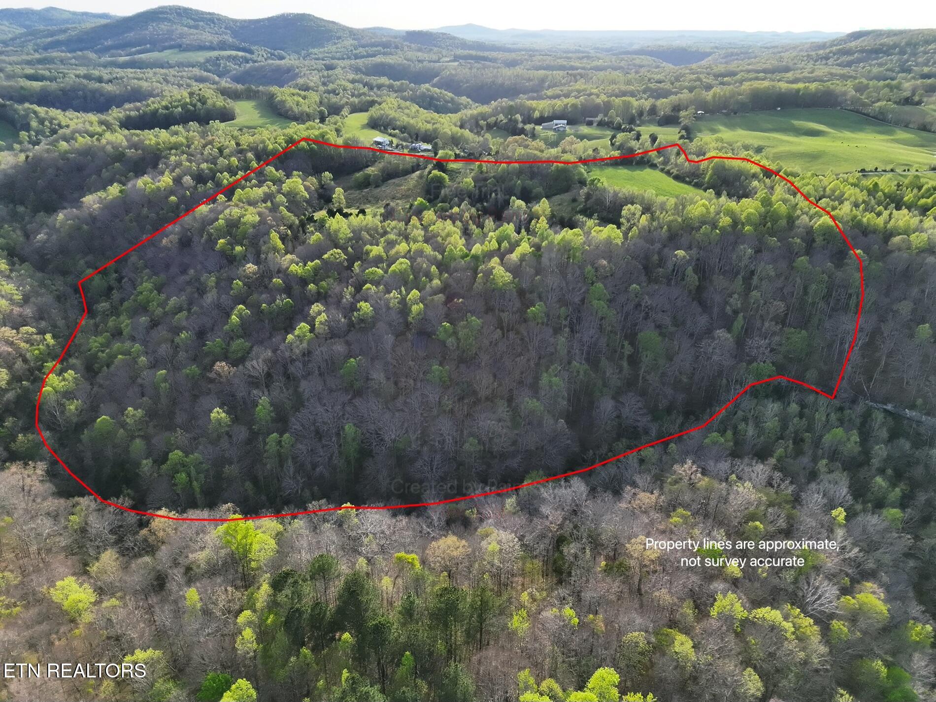 171 Gooseneck Lane Jamestown TN 38556