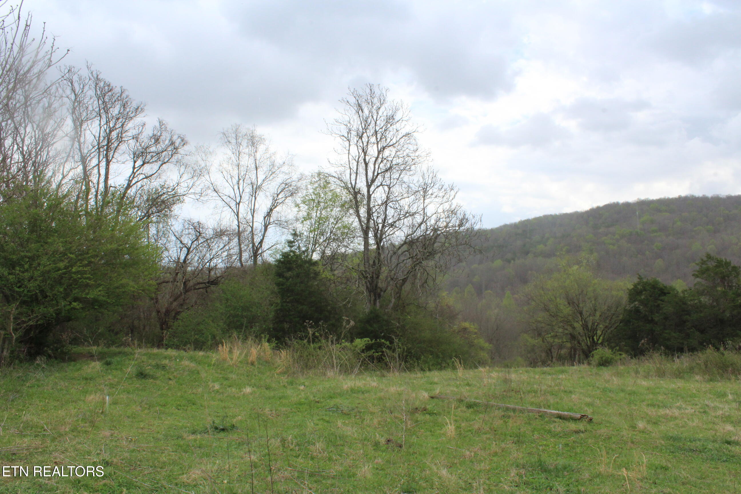 171 Gooseneck Lane Jamestown TN 38556