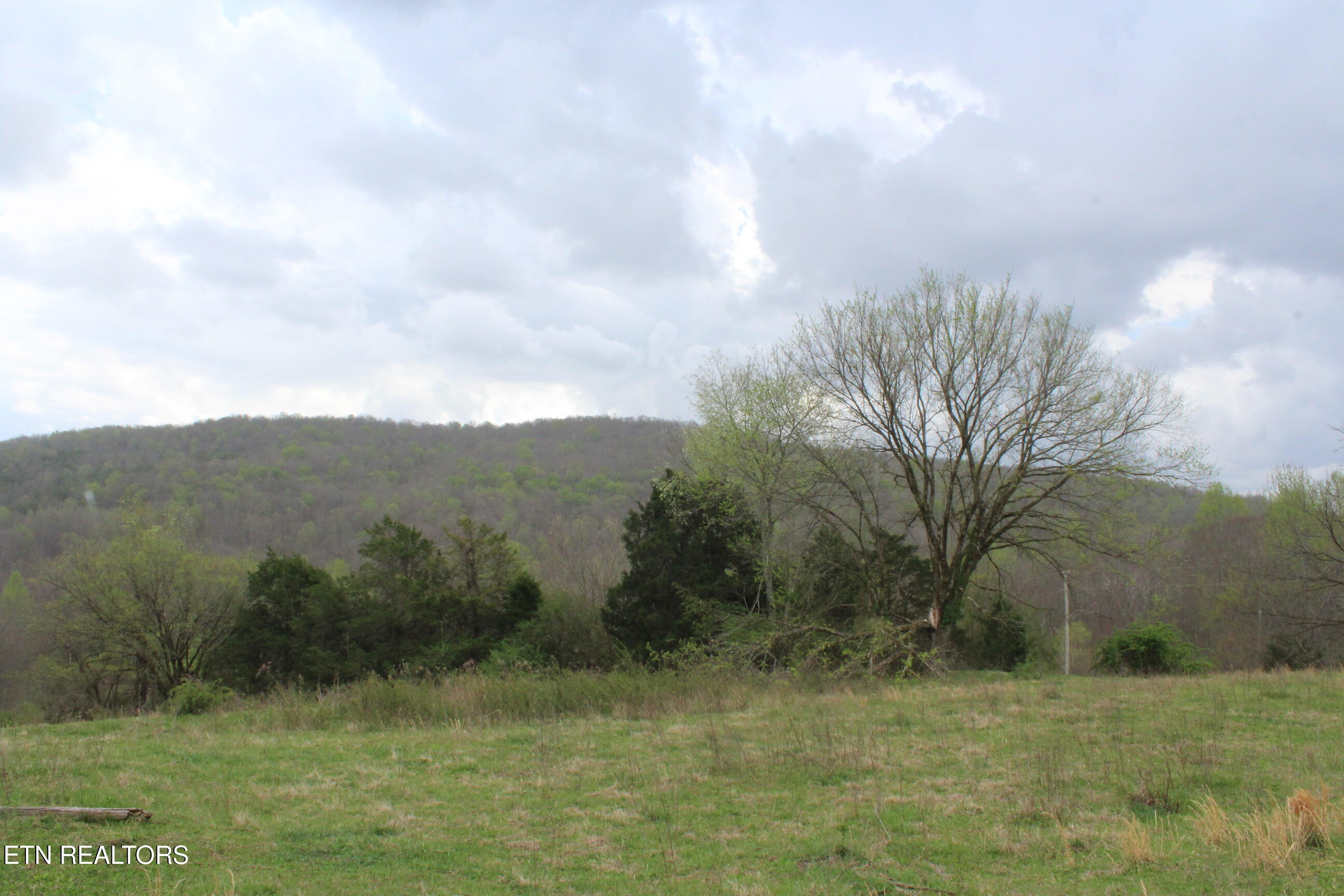 171 Gooseneck Lane Jamestown TN 38556