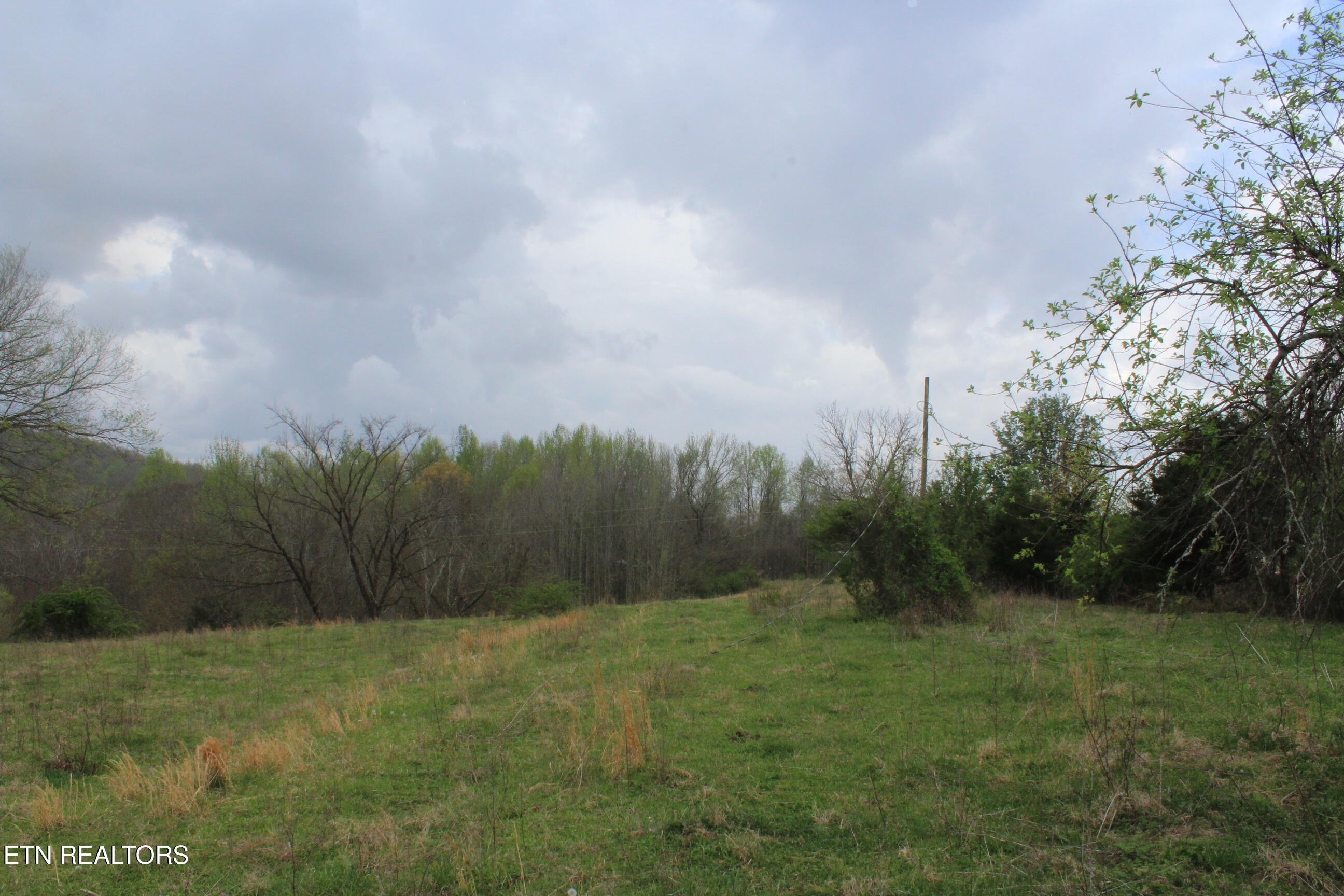 171 Gooseneck Lane Jamestown TN 38556
