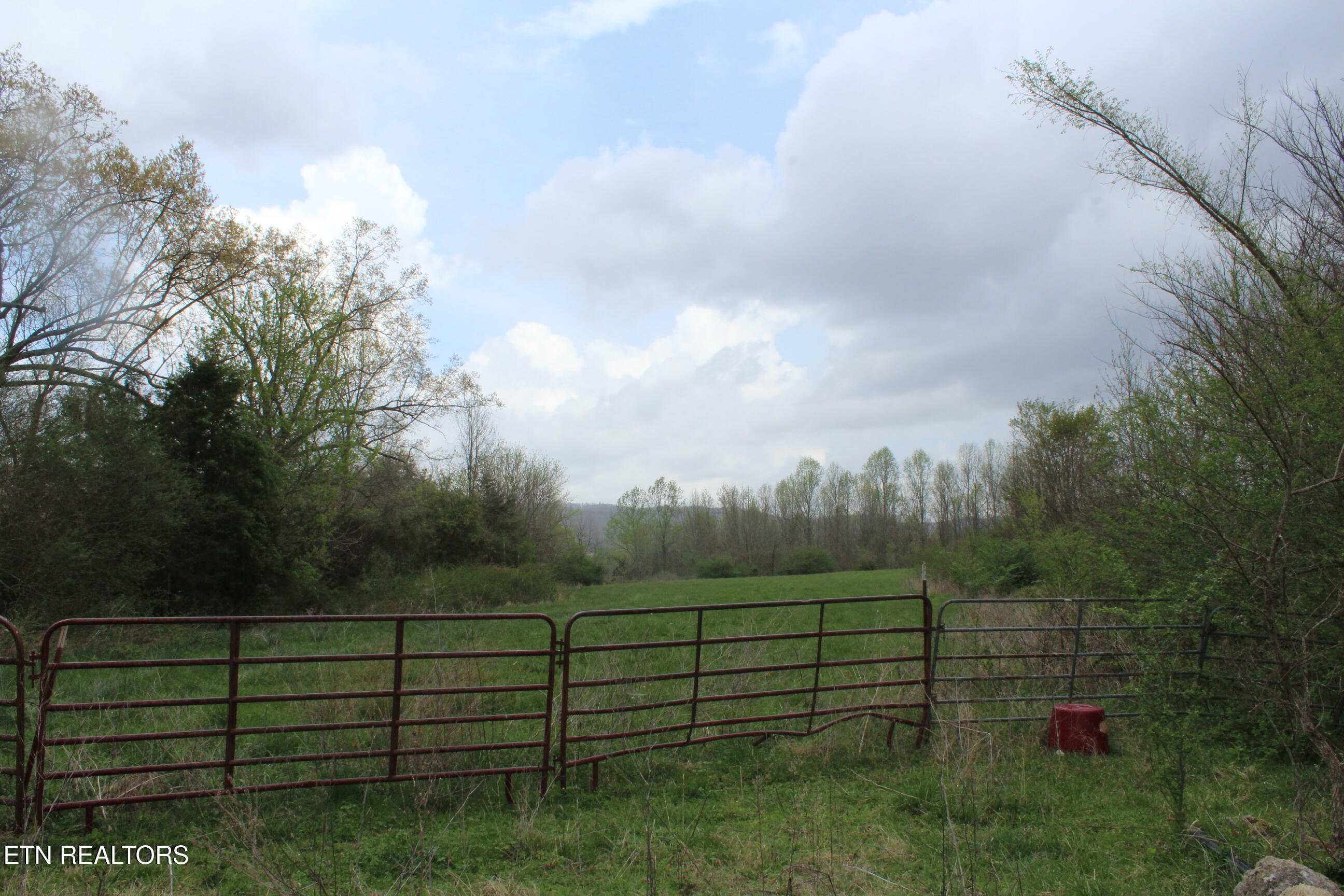 171 Gooseneck Lane Jamestown TN 38556