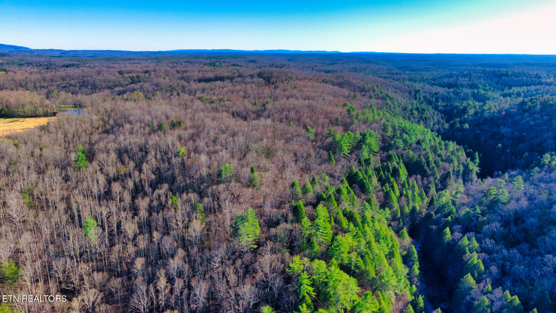 Tract 1 Ervin Brown Road Sunbright TN 37872