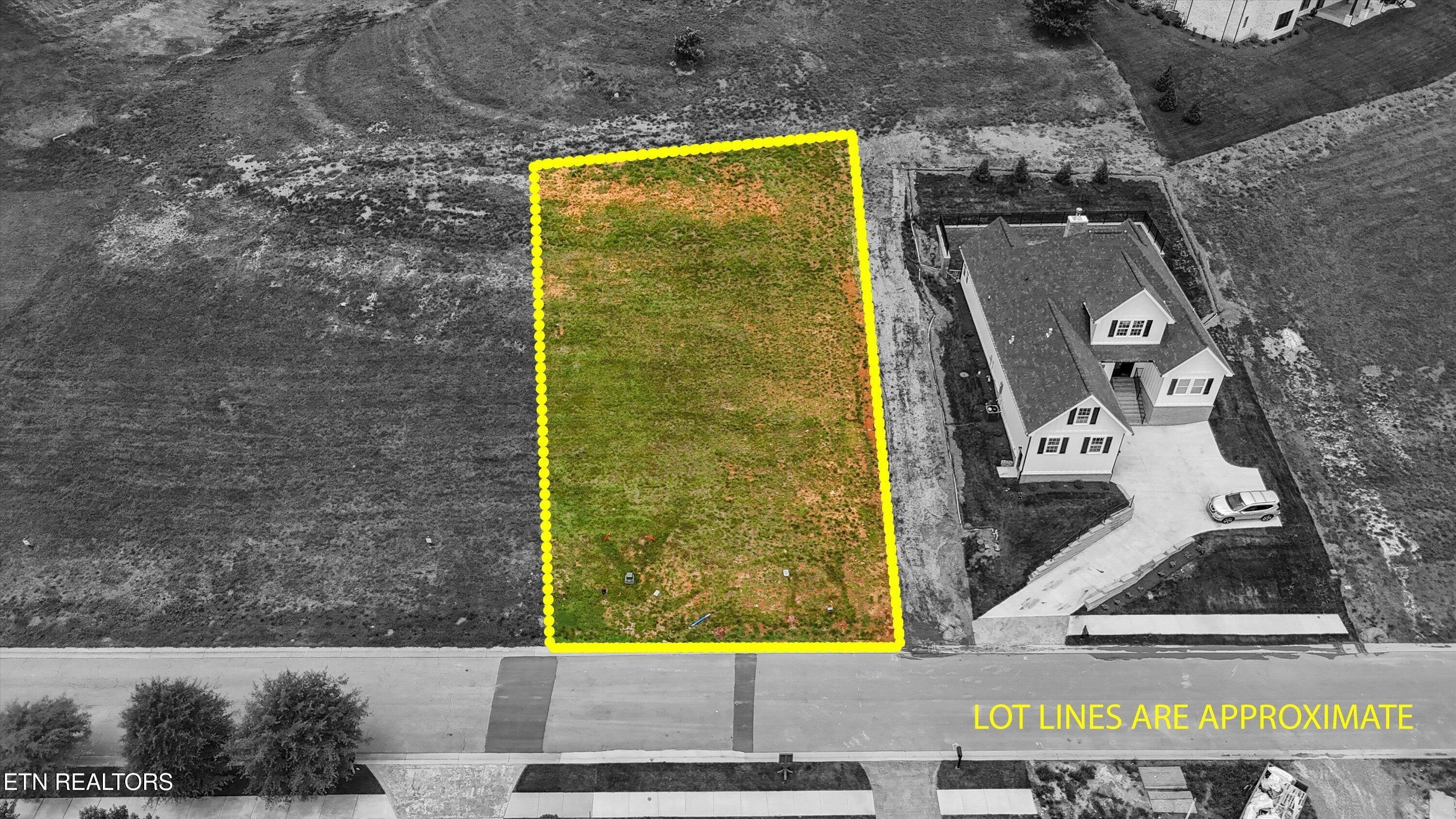 2532 Persimmon Loudon TN 37774