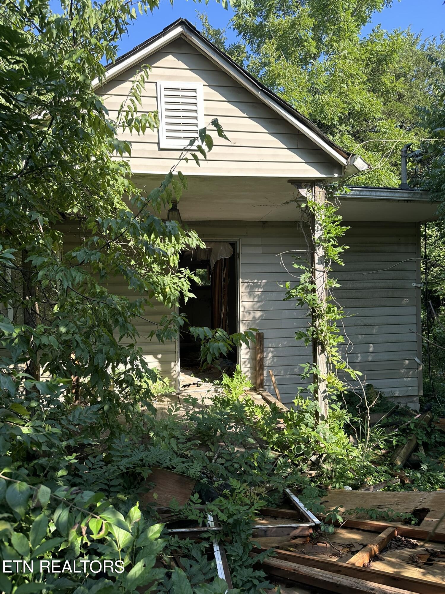 Strawberry Plains TN 37871