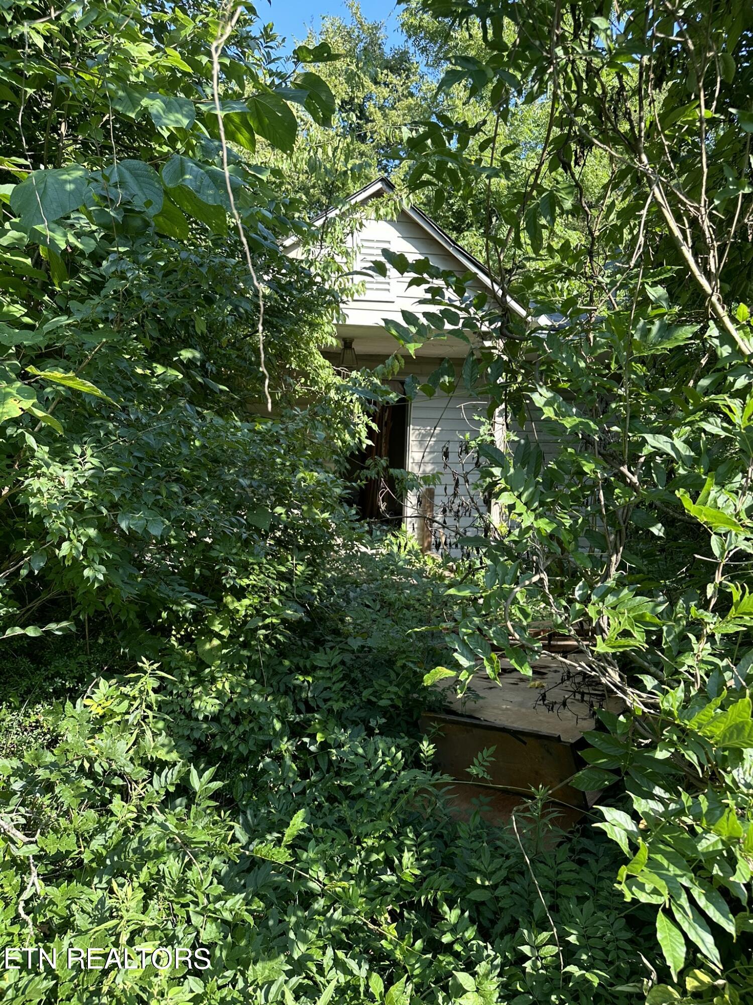 Strawberry Plains TN 37871