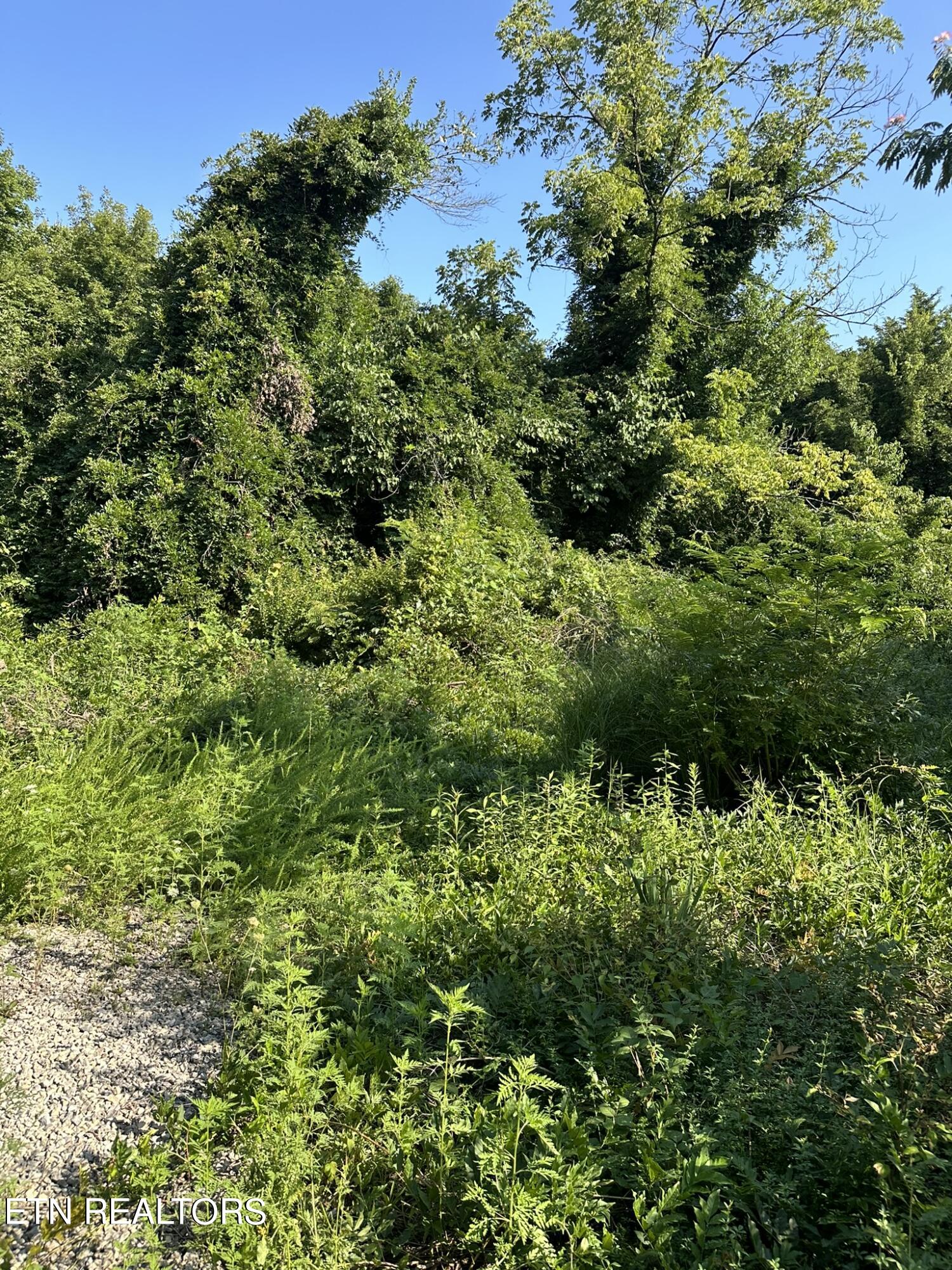 Strawberry Plains TN 37871