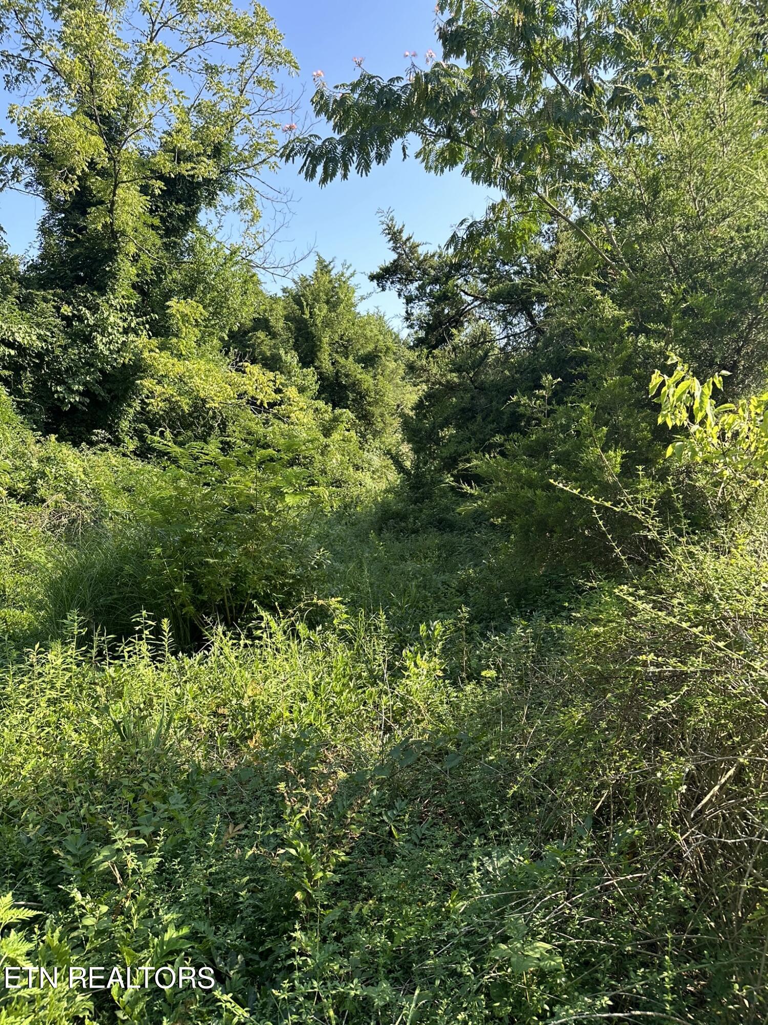 Strawberry Plains TN 37871