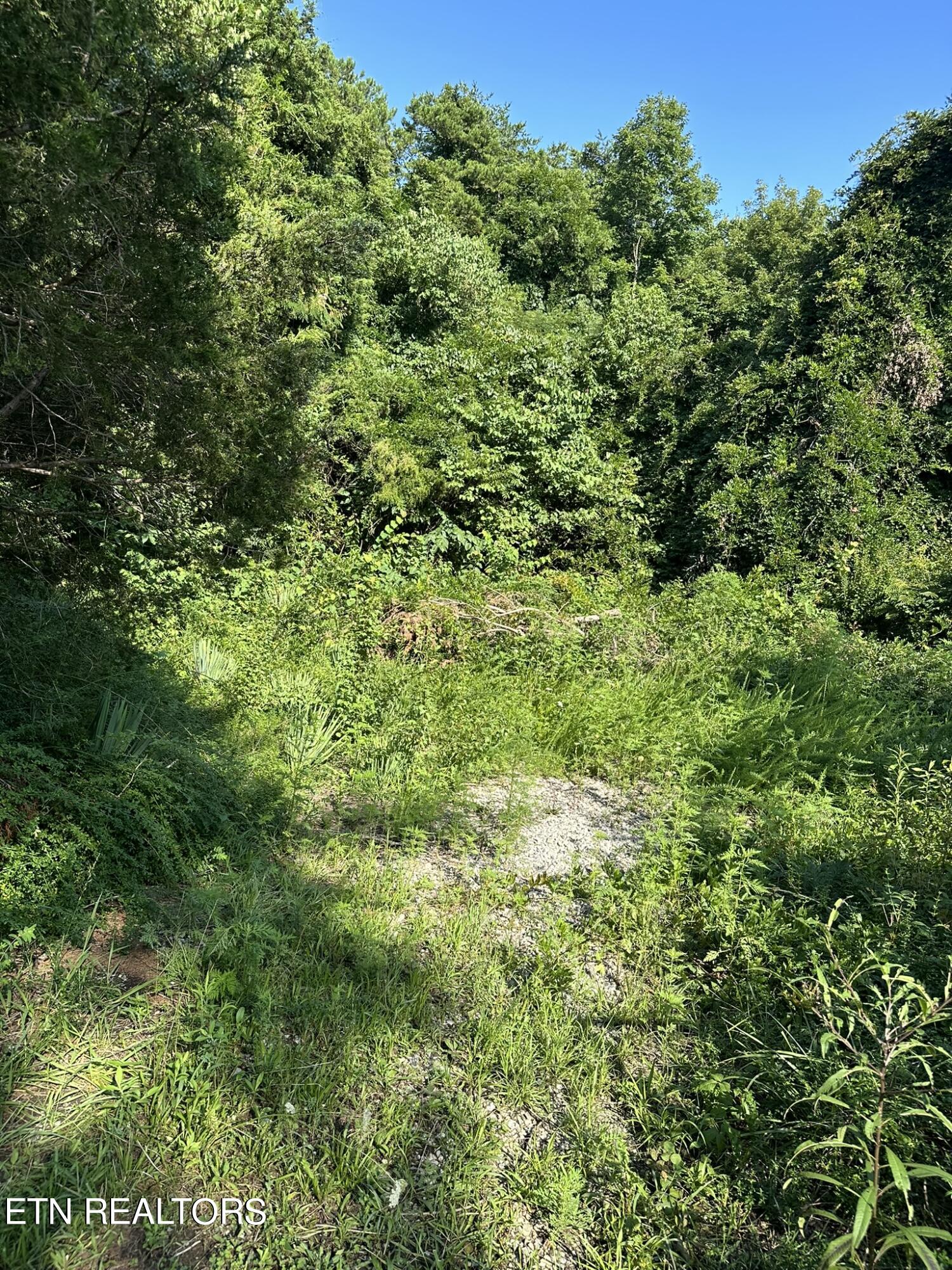 Strawberry Plains TN 37871