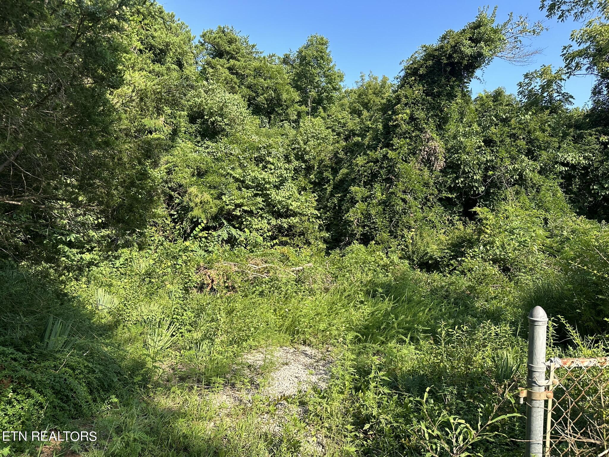 Strawberry Plains TN 37871