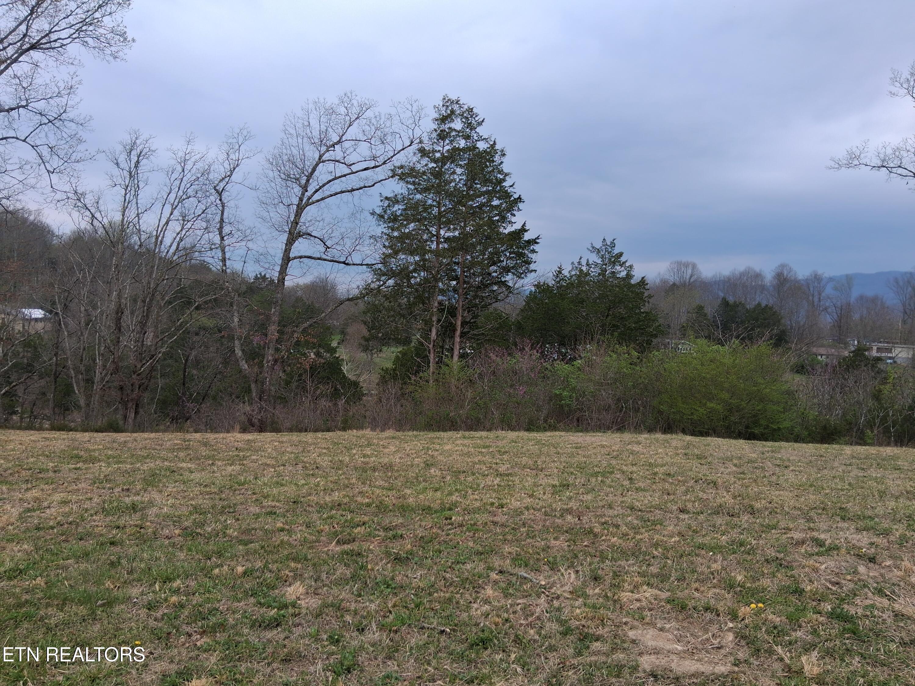 Wagon Lane Speedwell TN 37870