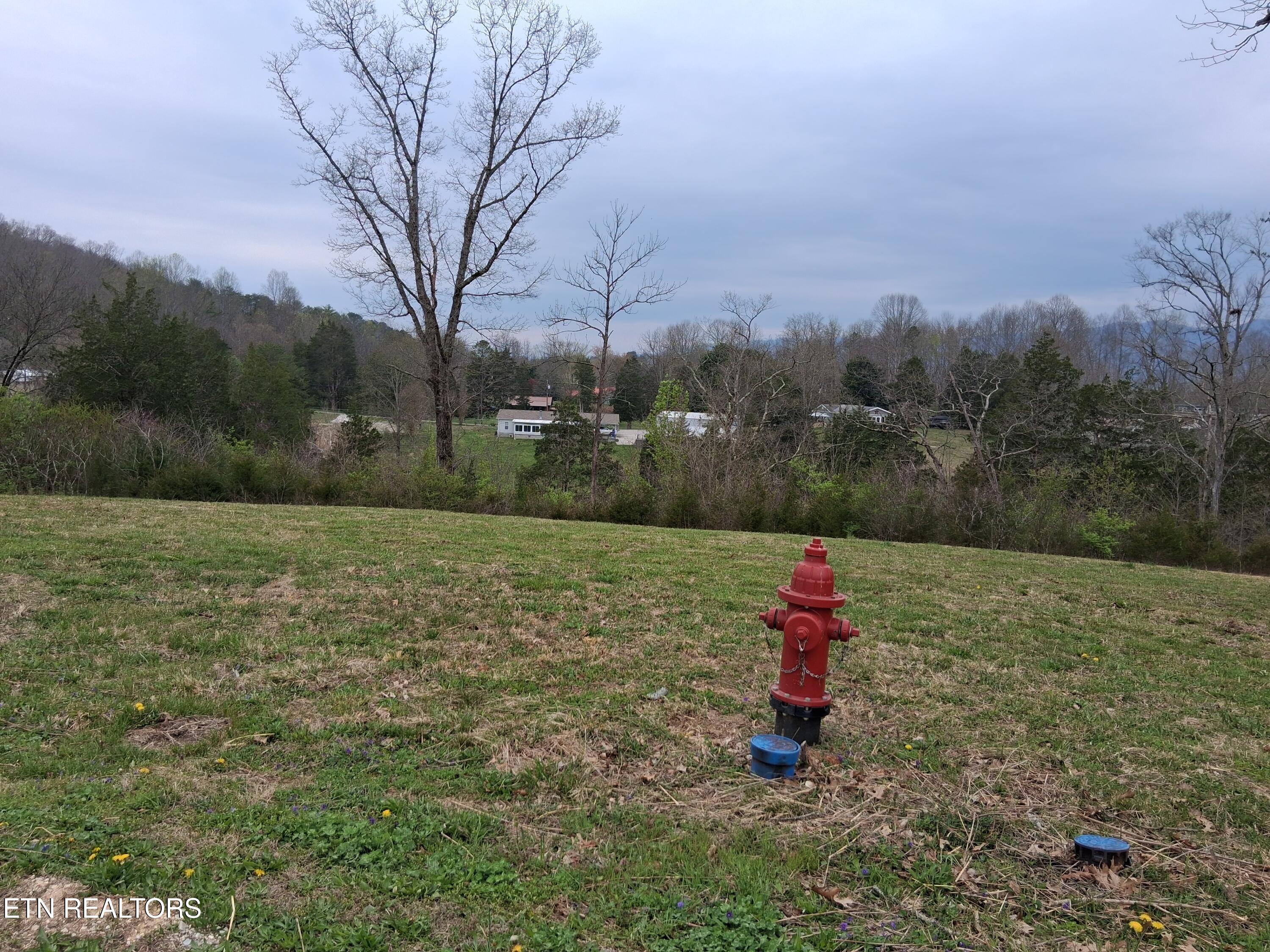 Wagon Lane Speedwell TN 37870