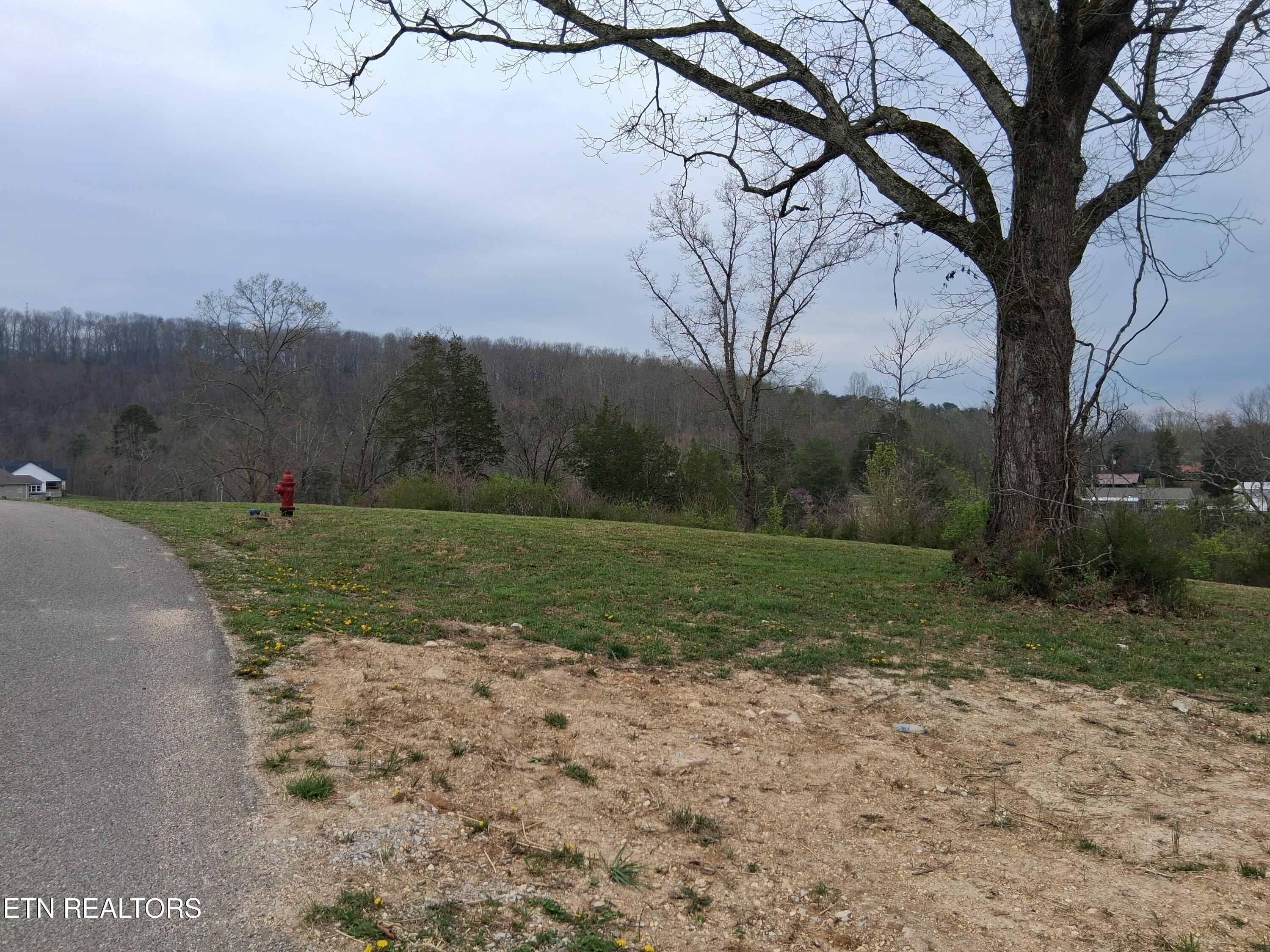 Wagon Lane Speedwell TN 37870