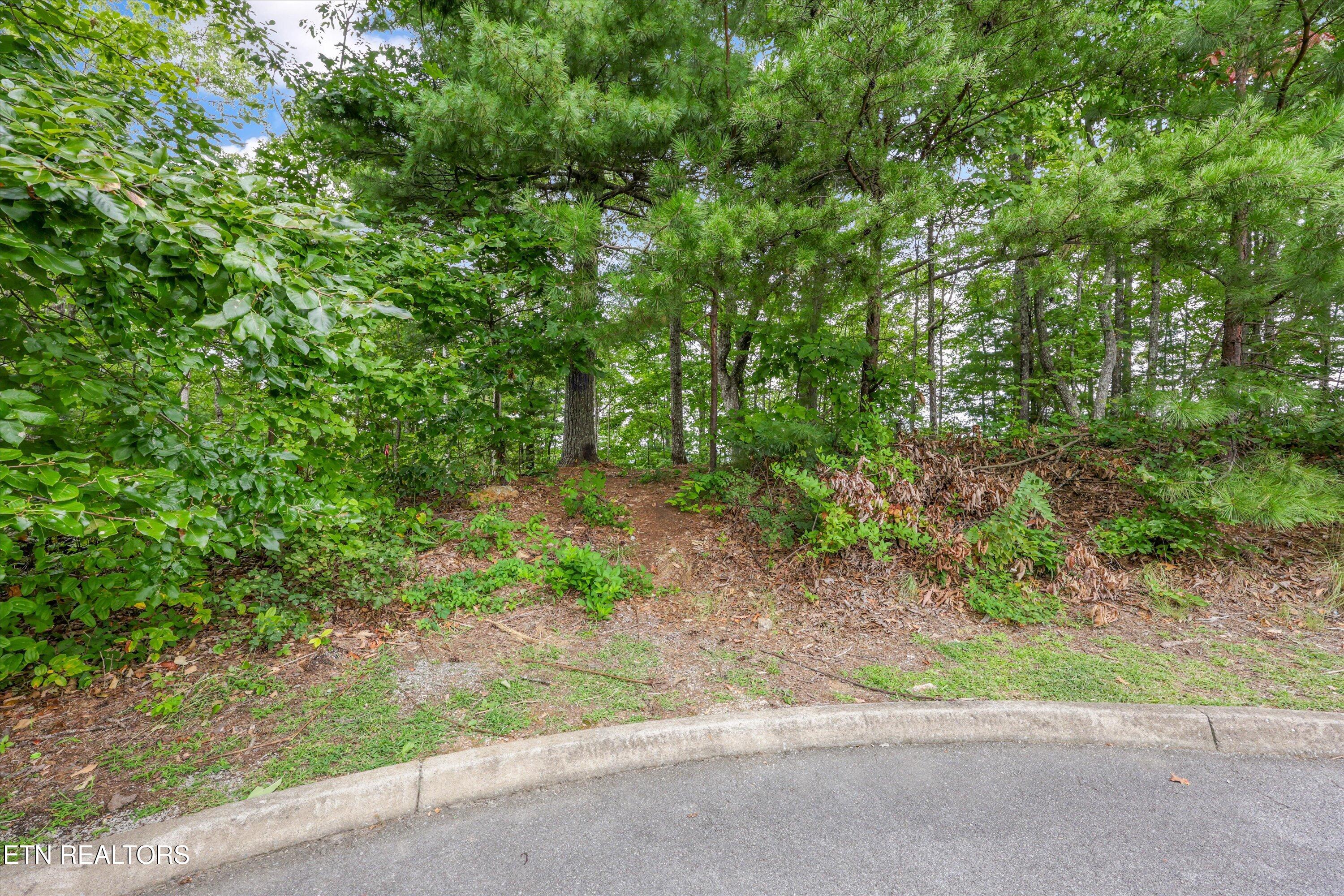 Lot 130e-r Settlers View Lane Sevierville TN 37862
