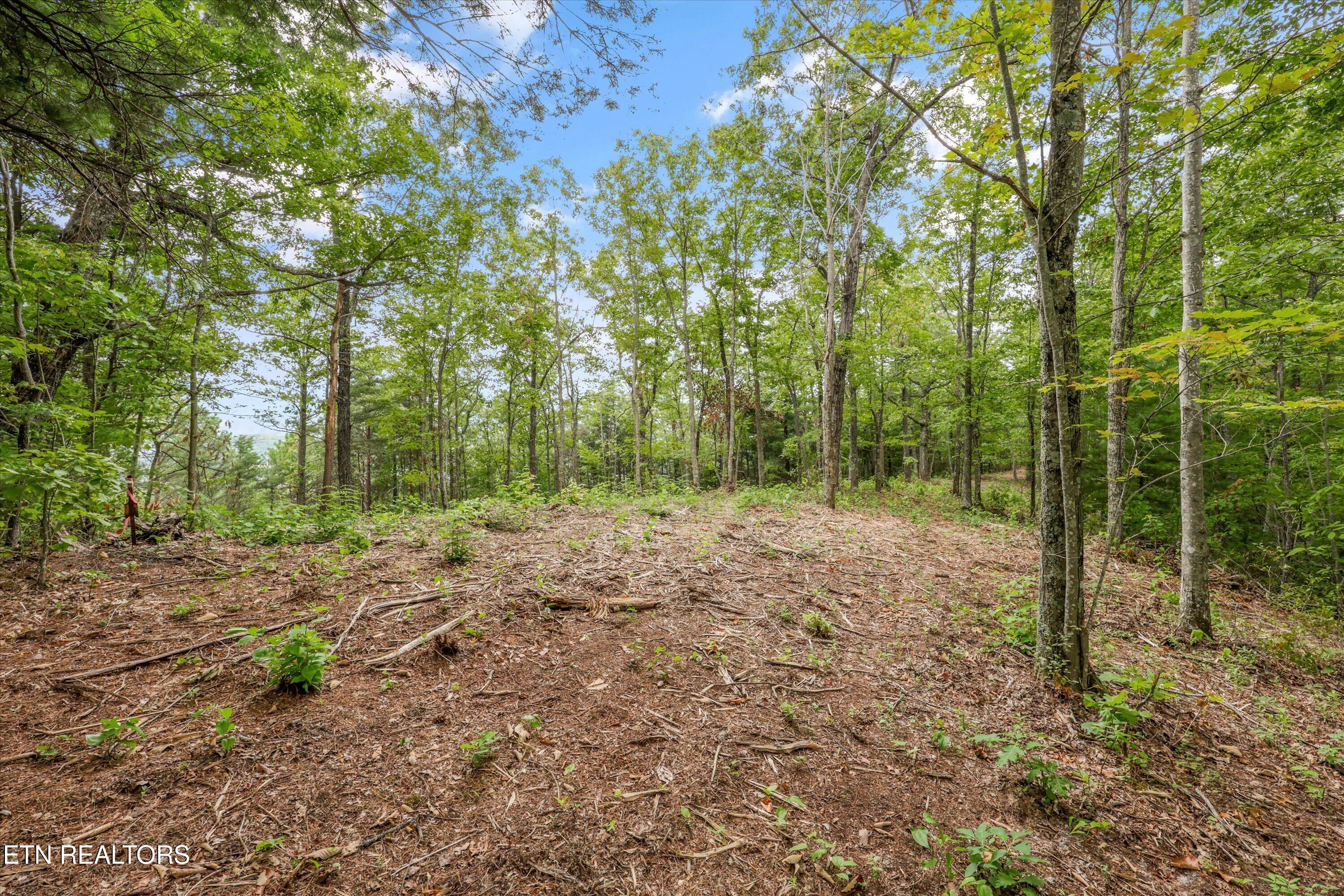 Lot 130e-r Settlers View Lane Sevierville TN 37862