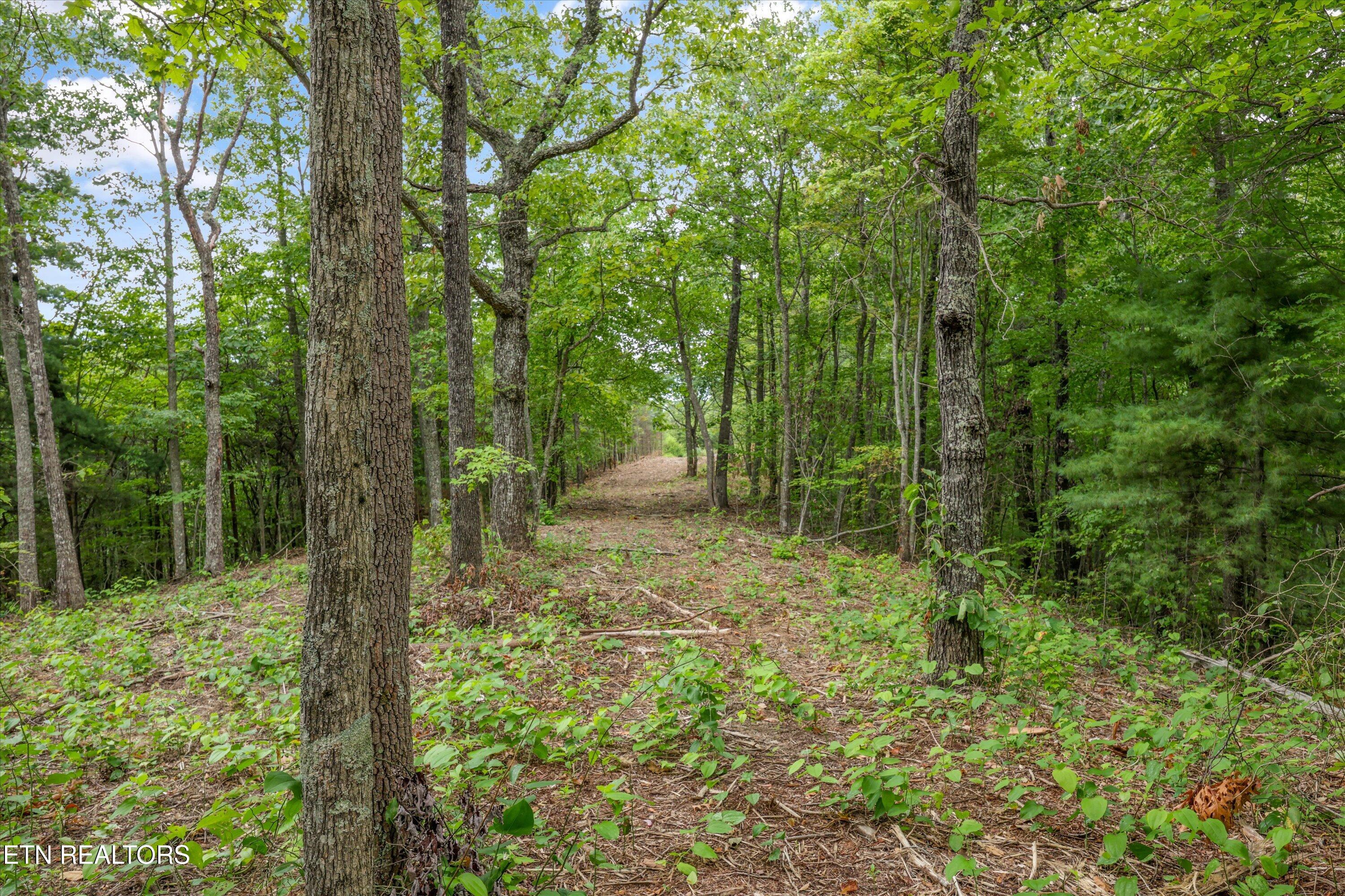 Lot 130e-r Settlers View Lane Sevierville TN 37862
