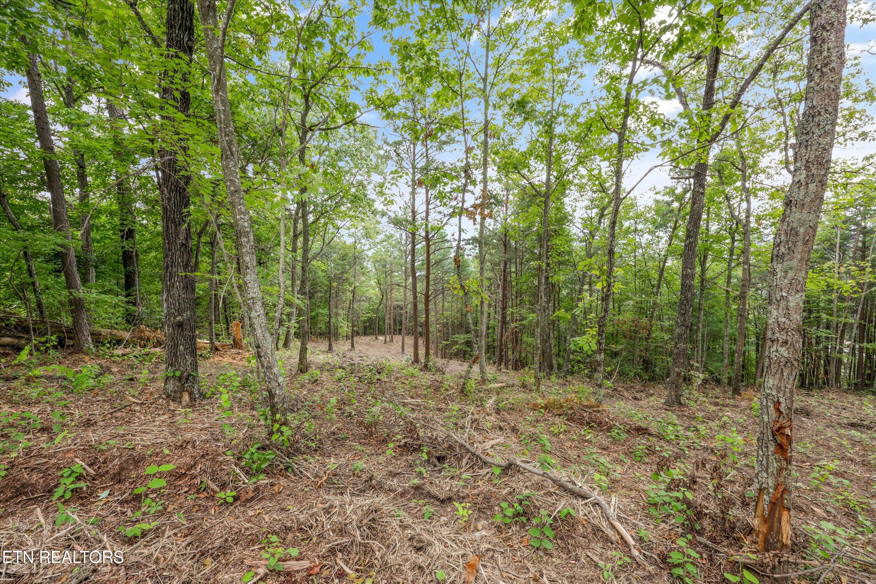 Lot 130e-r Settlers View Lane Sevierville TN 37862