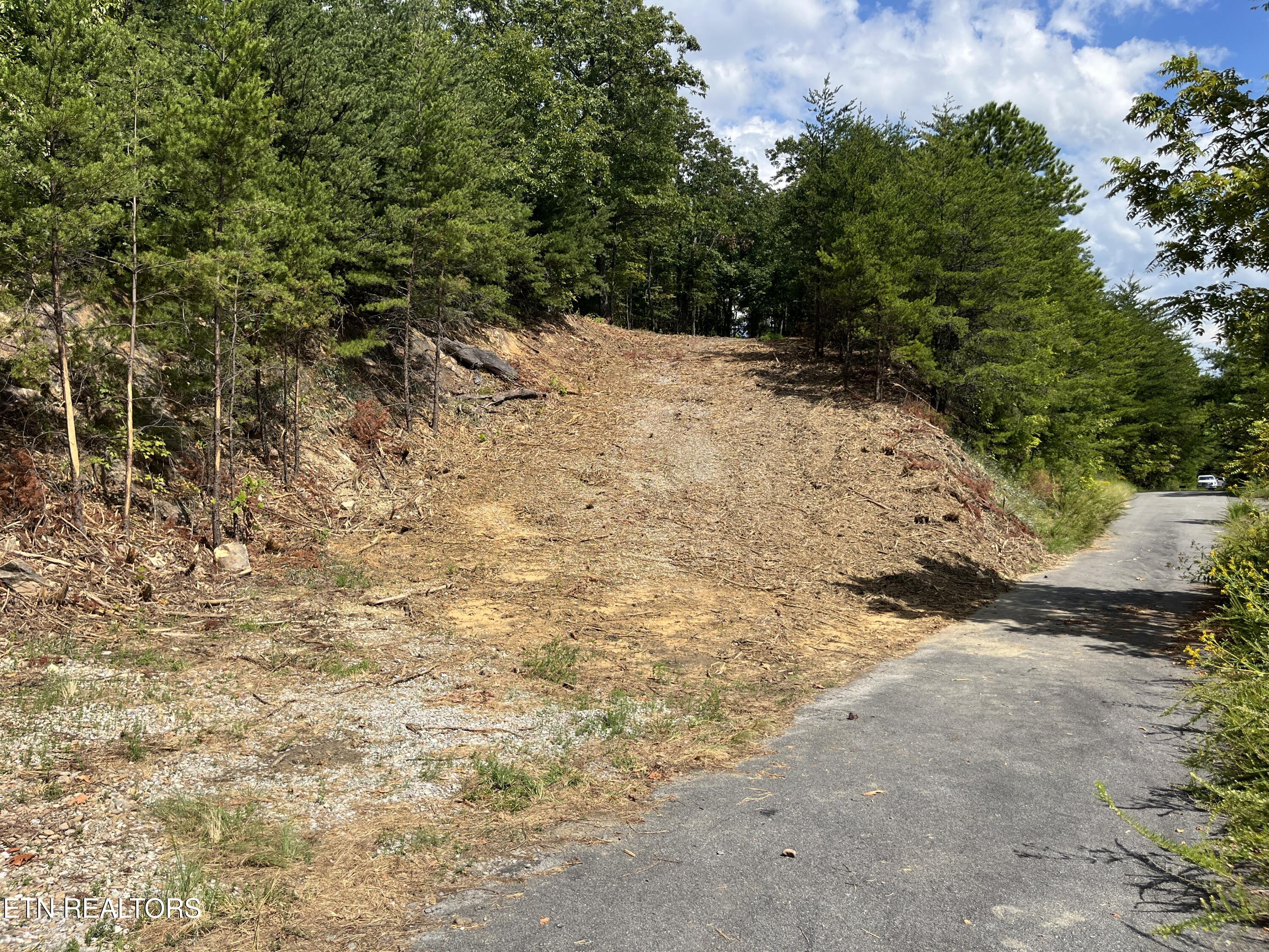 Lot 130e-r Settlers View Lane Sevierville TN 37862
