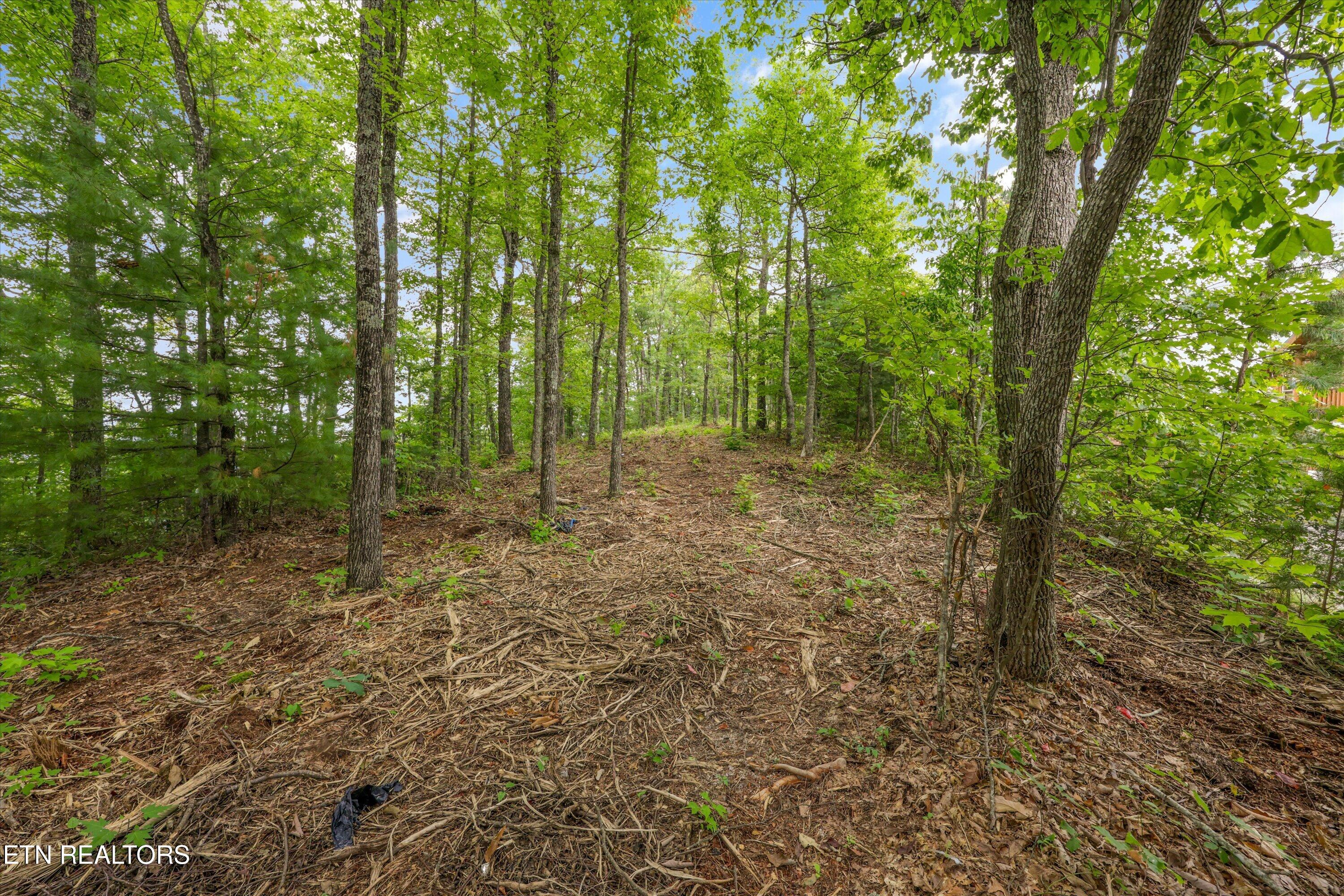Lot 130e-r Settlers View Lane Sevierville TN 37862