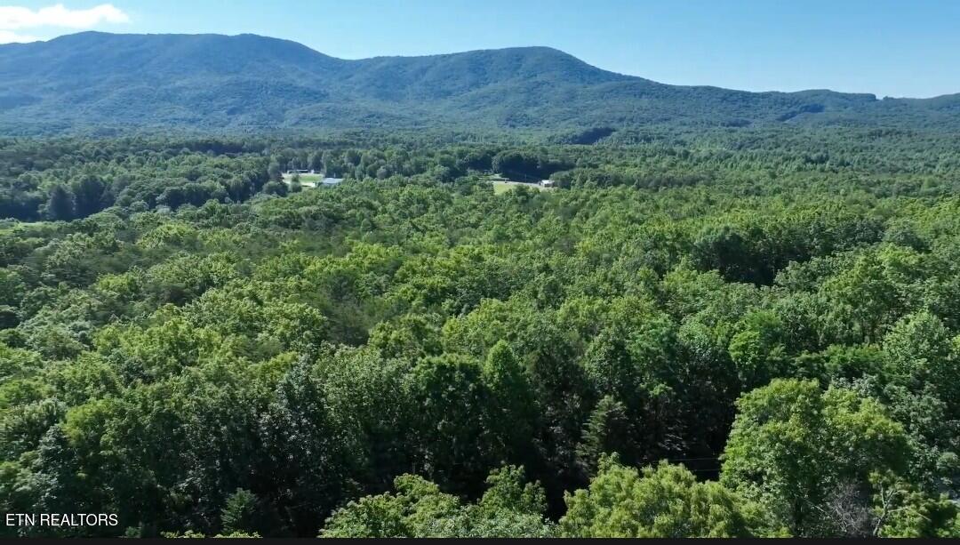 0 Coker Creek Trail Tellico Plains TN 37385