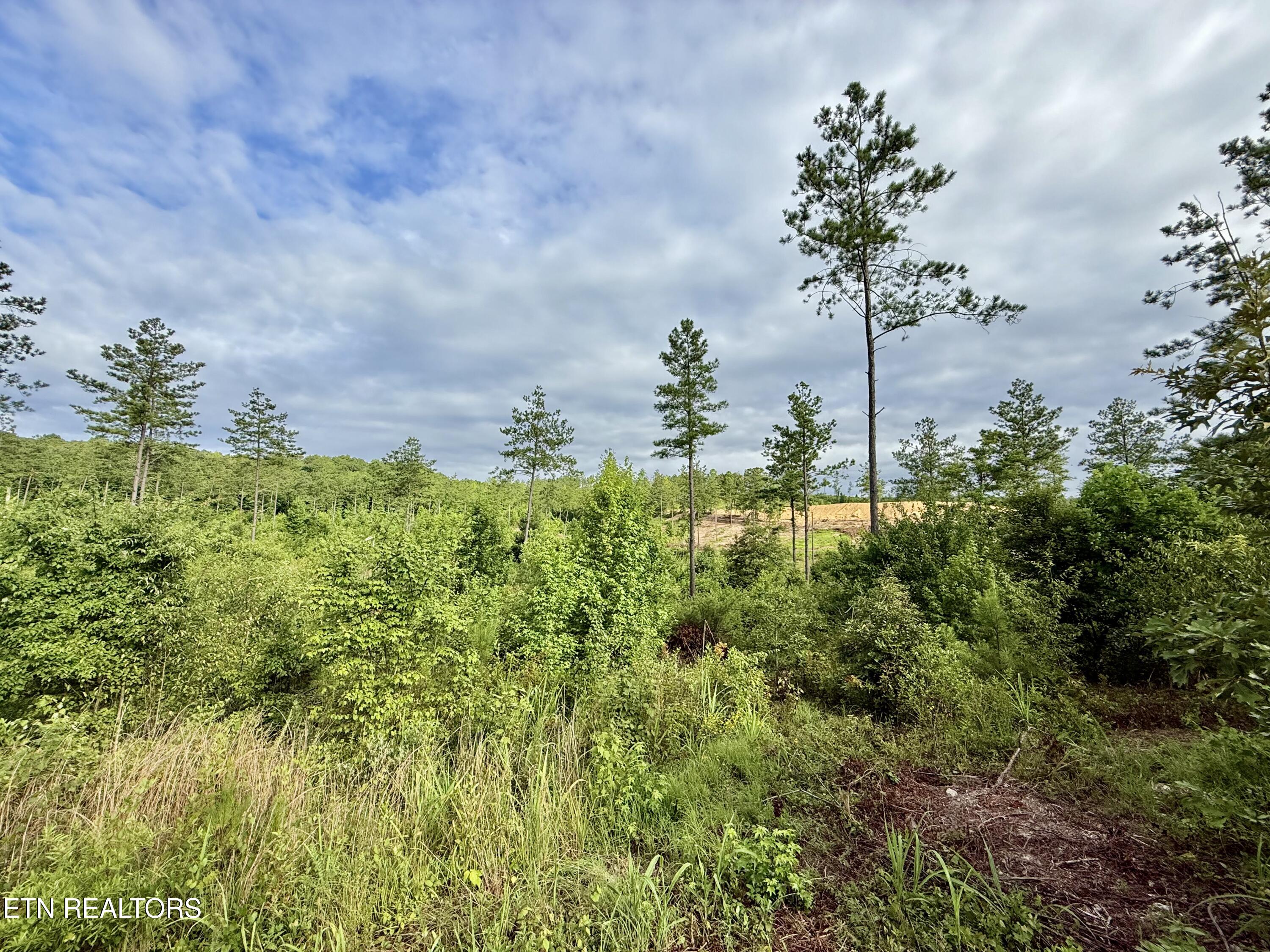 980 Wasson Road Ten Mile TN 37880