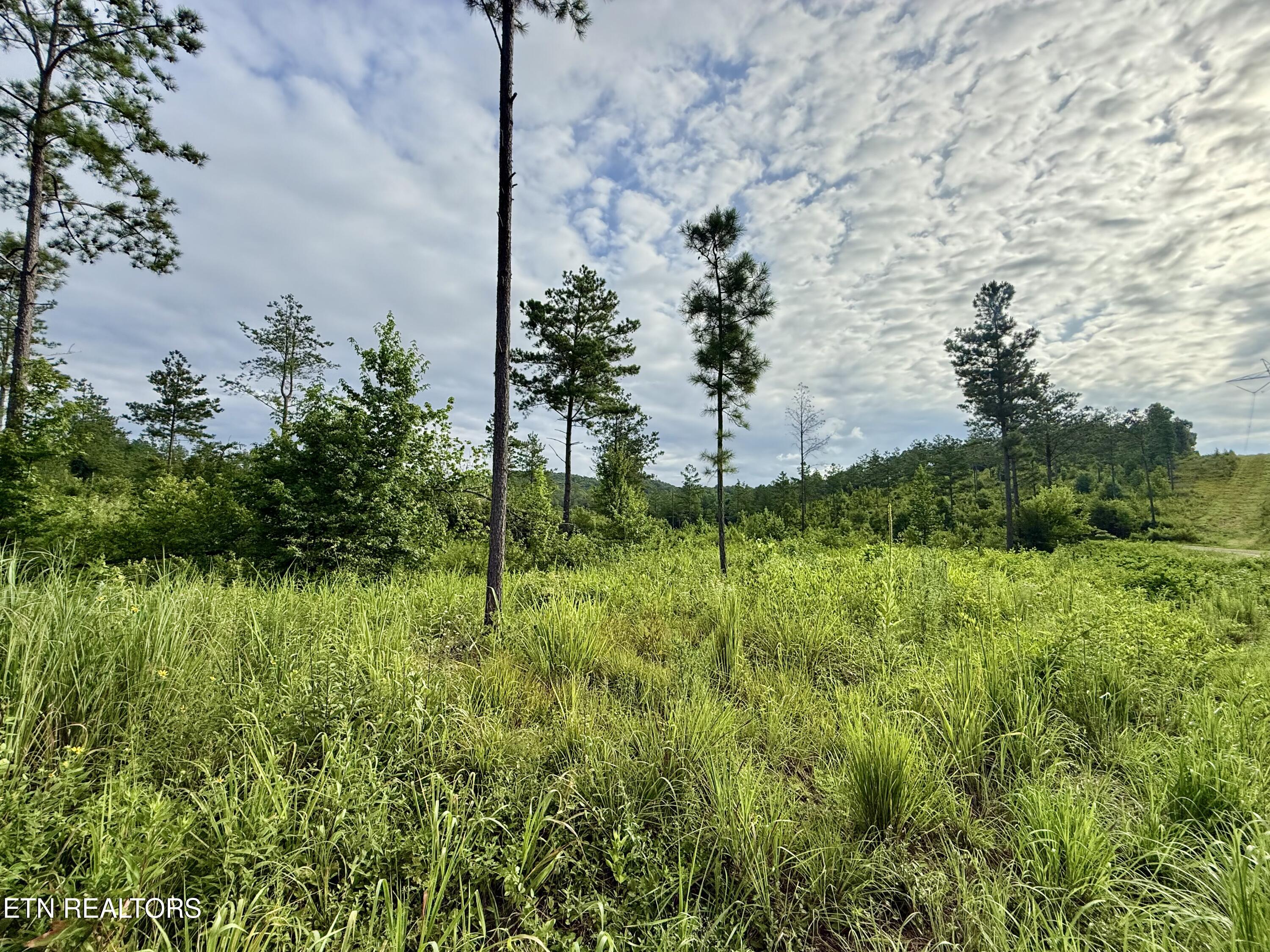 980 Wasson Road Ten Mile TN 37880