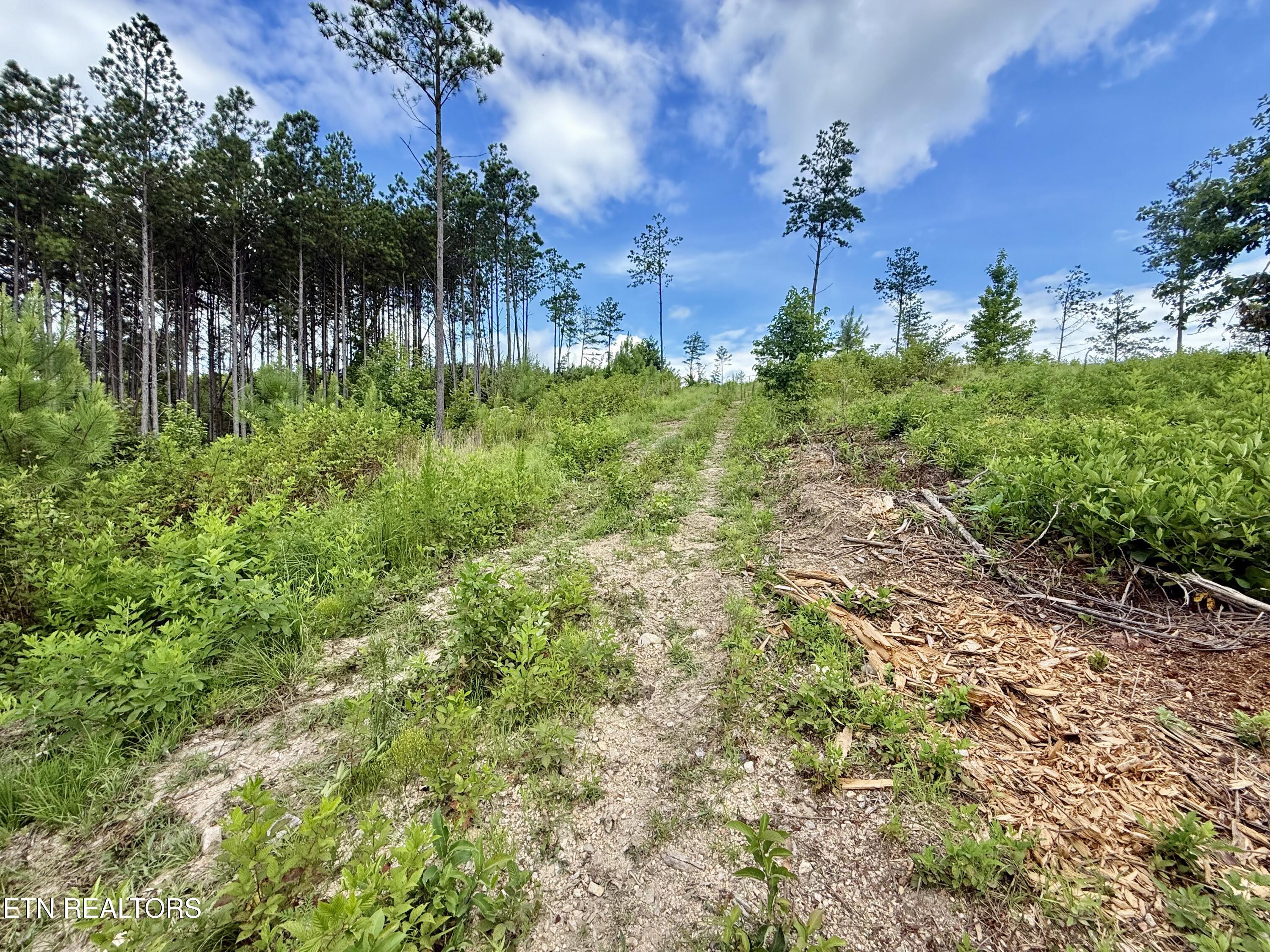 980 Wasson Road Ten Mile TN 37880