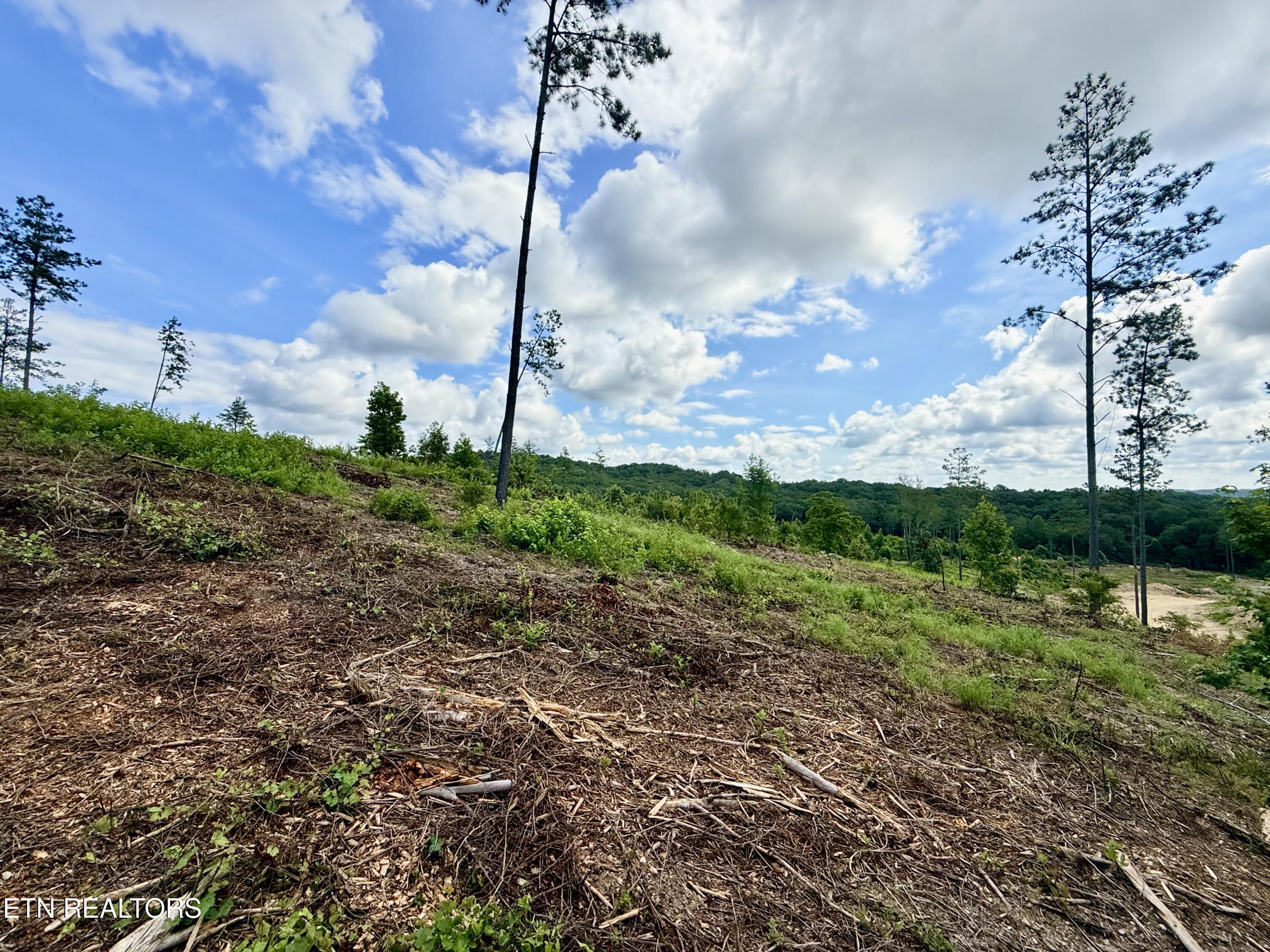 980 Wasson Road Ten Mile TN 37880