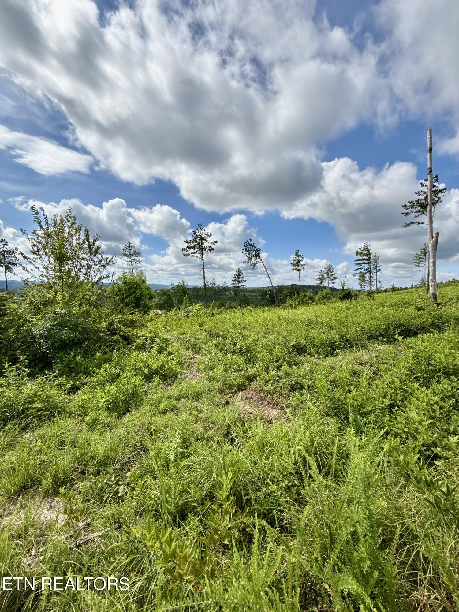980 Wasson Road Ten Mile TN 37880