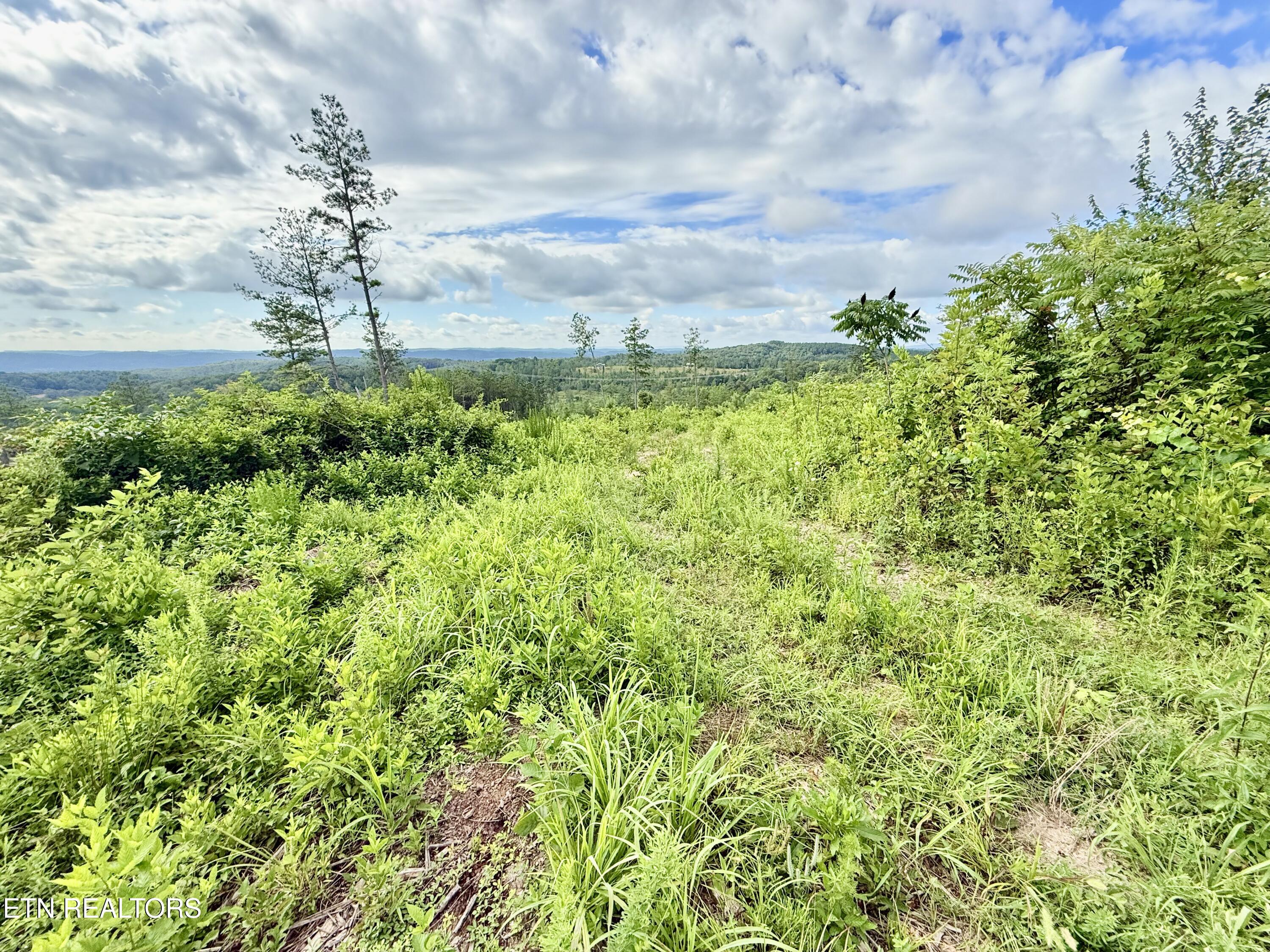 980 Wasson Road Ten Mile TN 37880