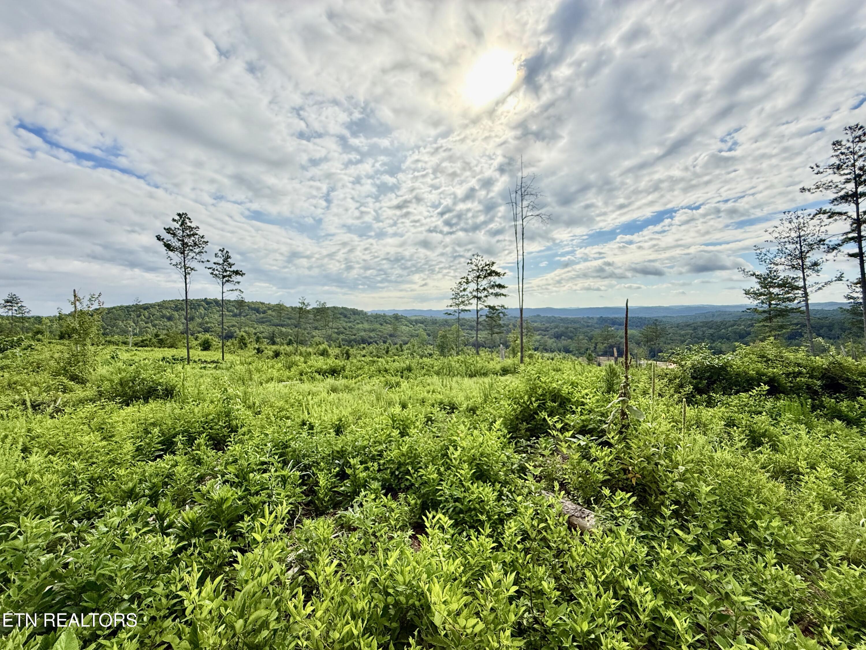 980 Wasson Road Ten Mile TN 37880