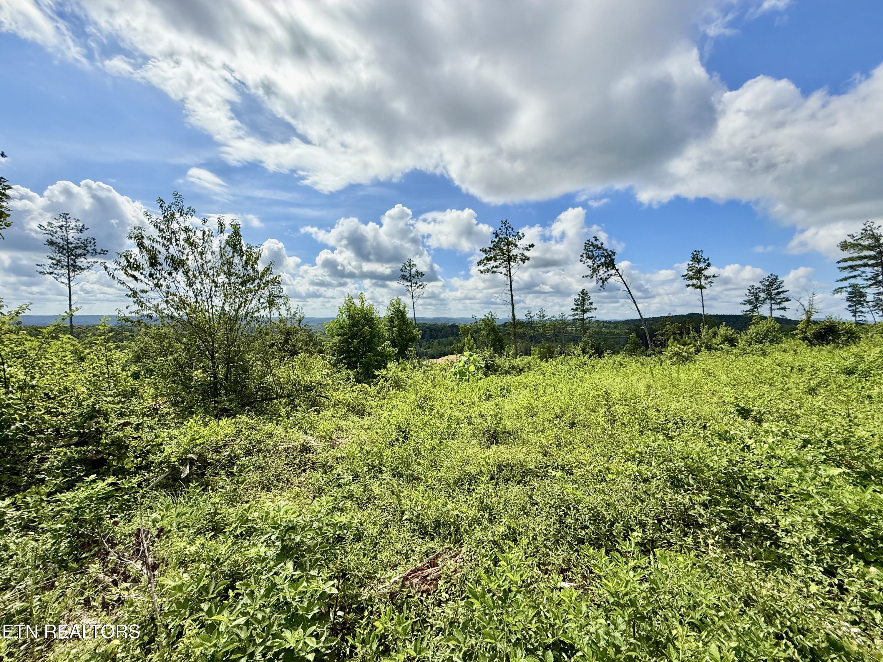 980 Wasson Road Ten Mile TN 37880