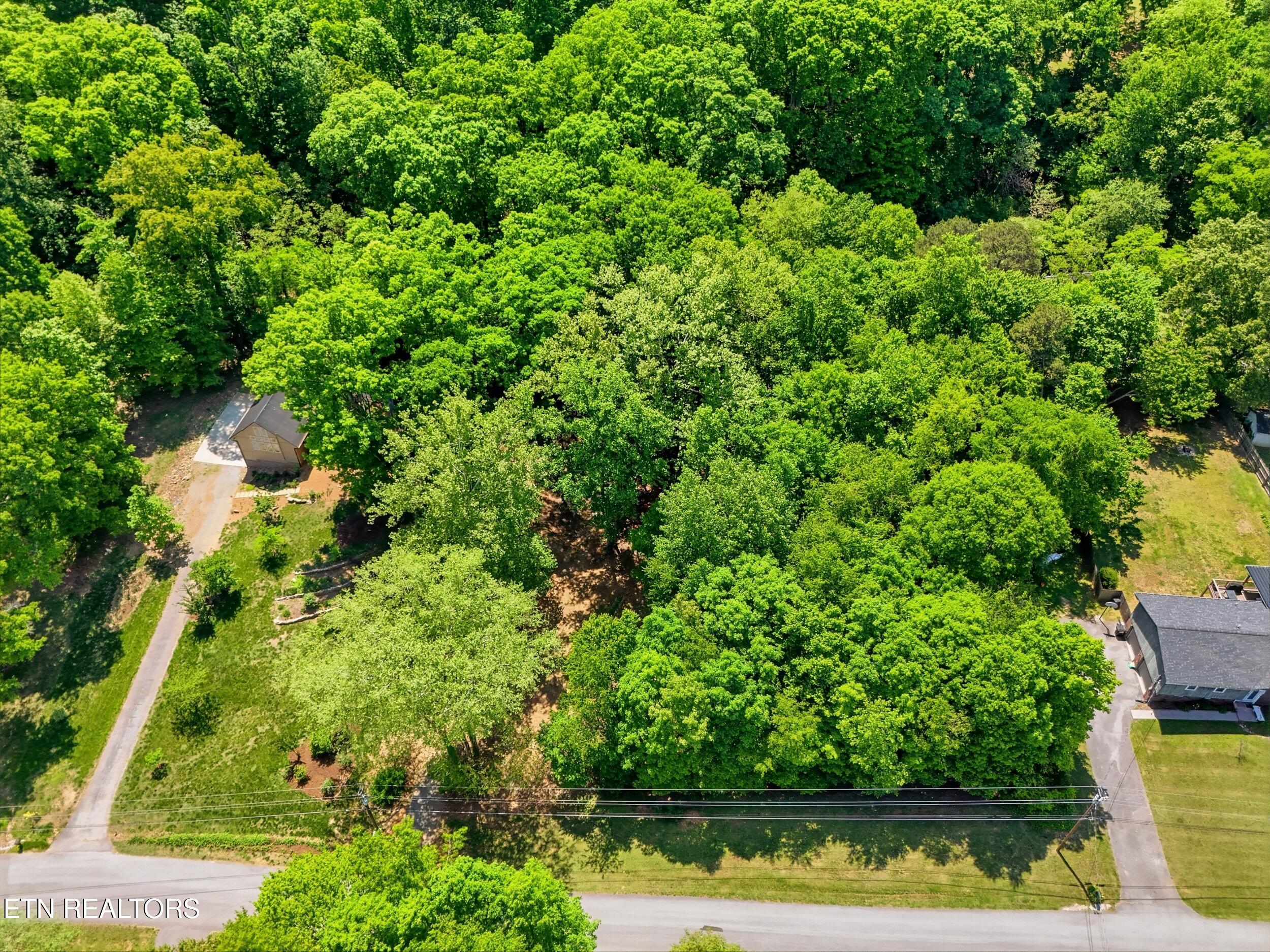 Brooksview Road Lenoir City TN 37772