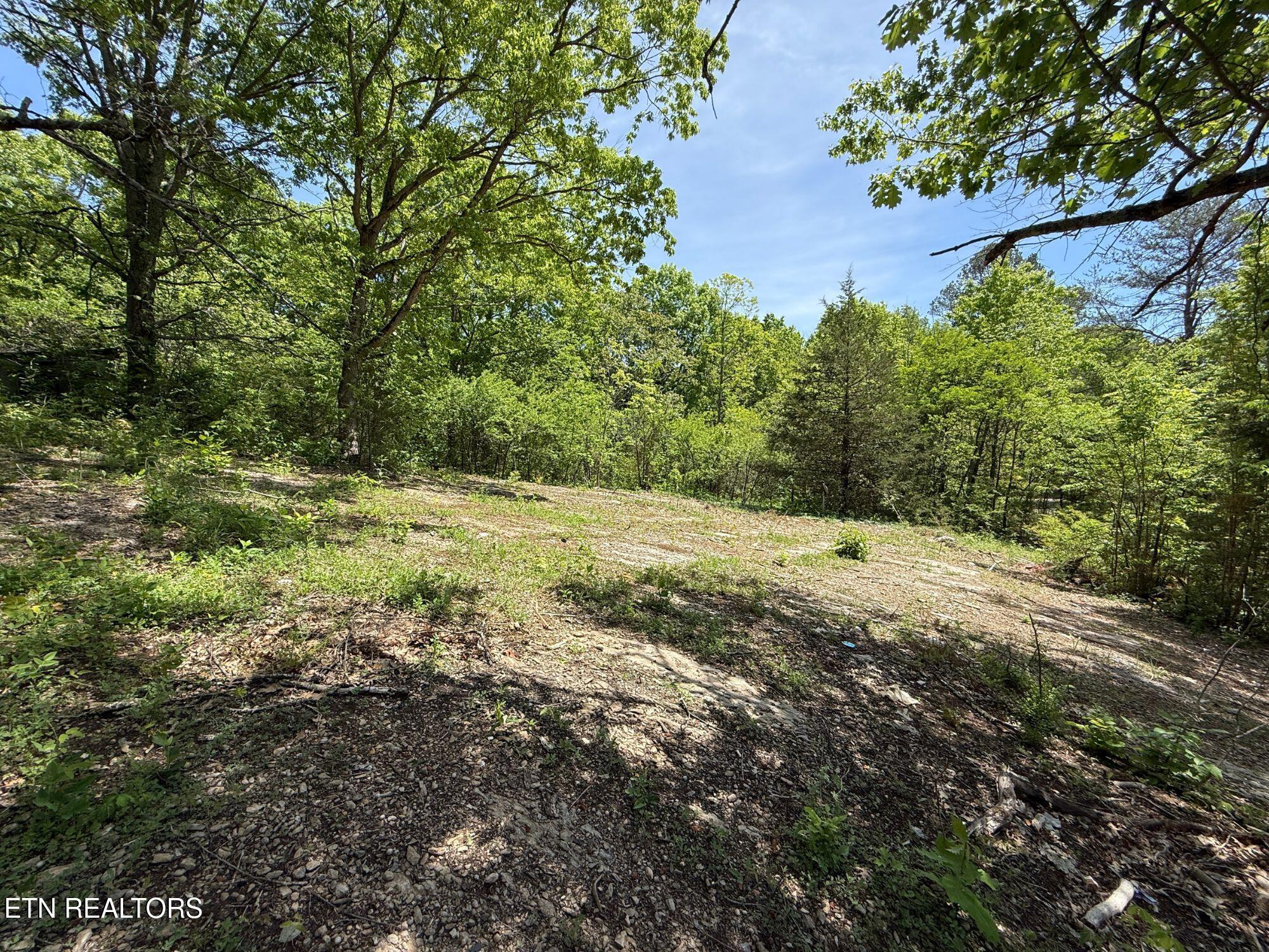137 Watt Road Sweetwater TN 37874