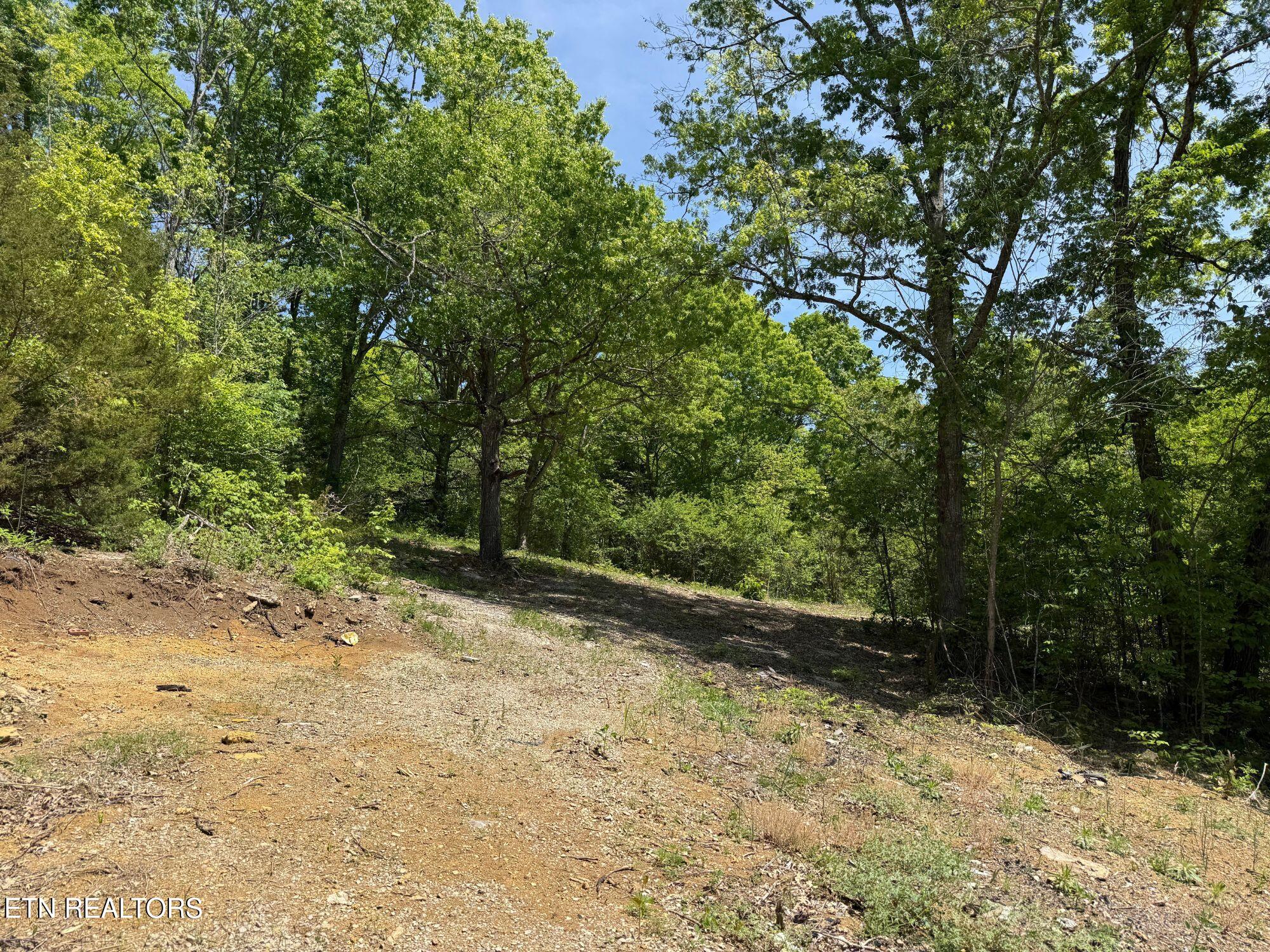 137 Watt Road Sweetwater TN 37874