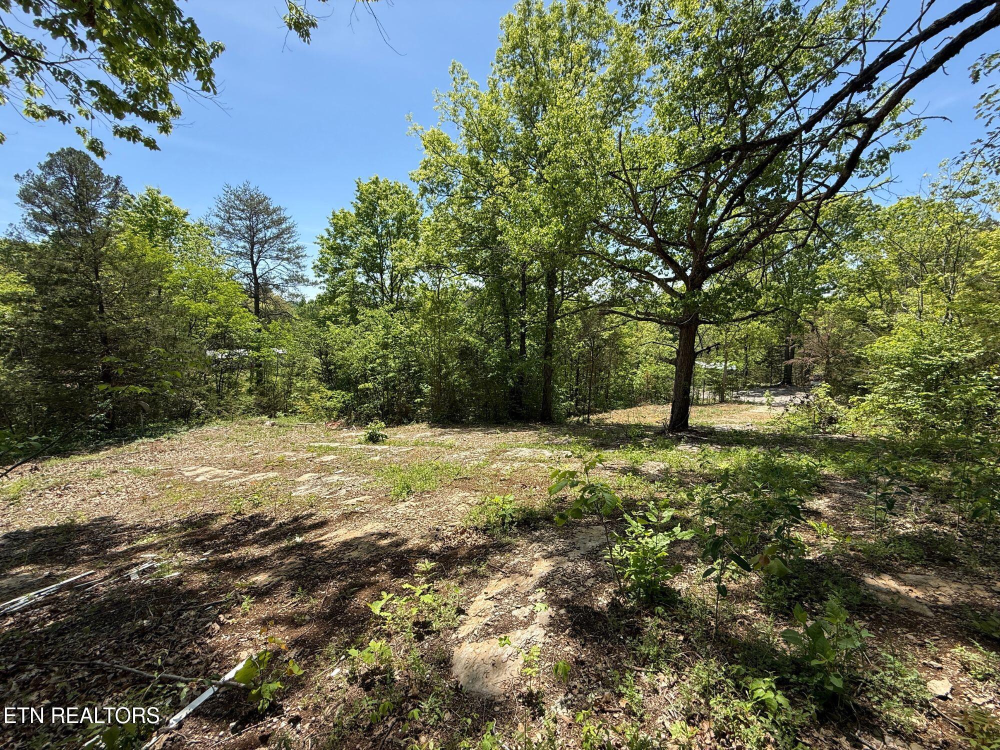 137 Watt Road Sweetwater TN 37874