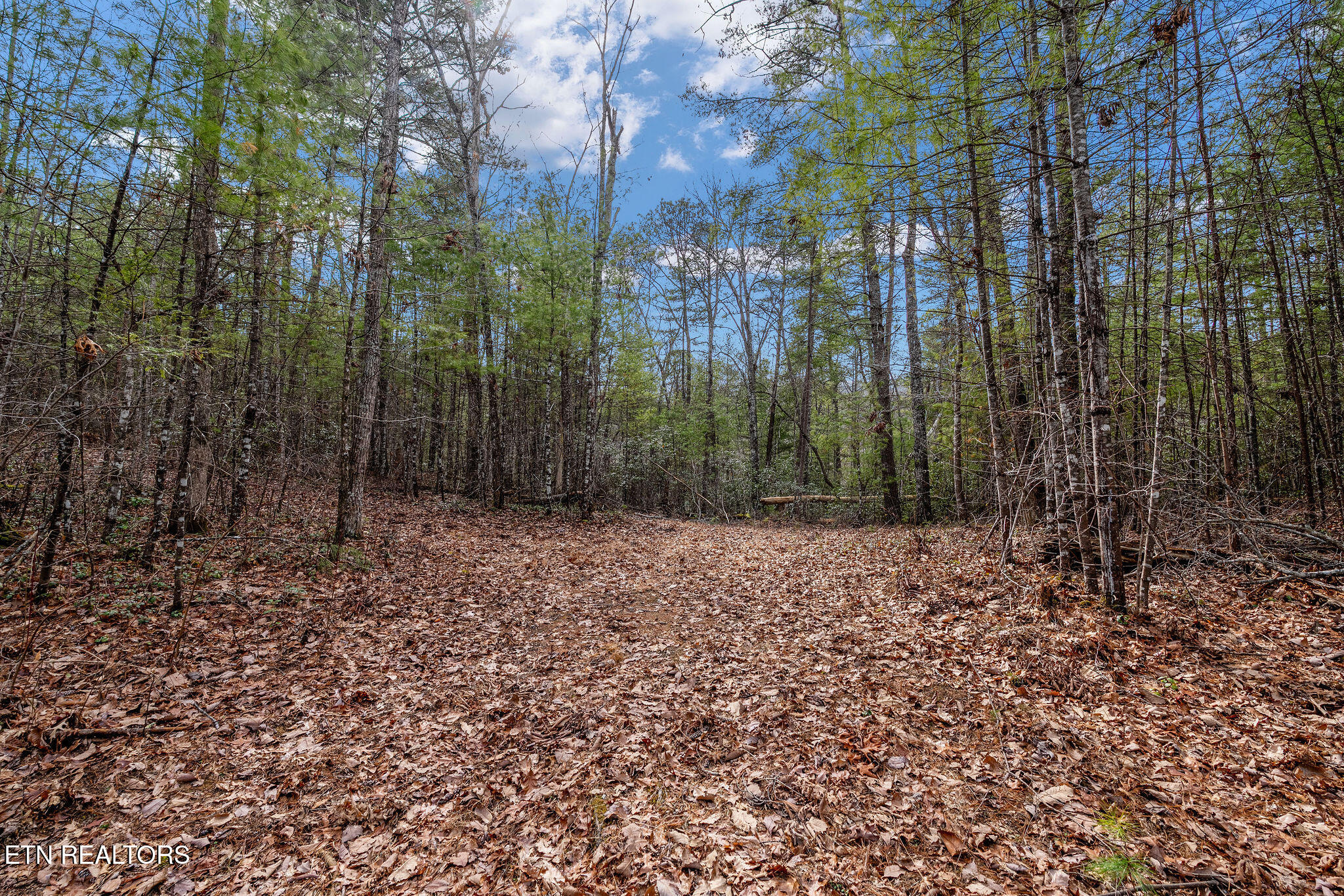 Lot 14 Paint Horse Way Sevierville TN 37876