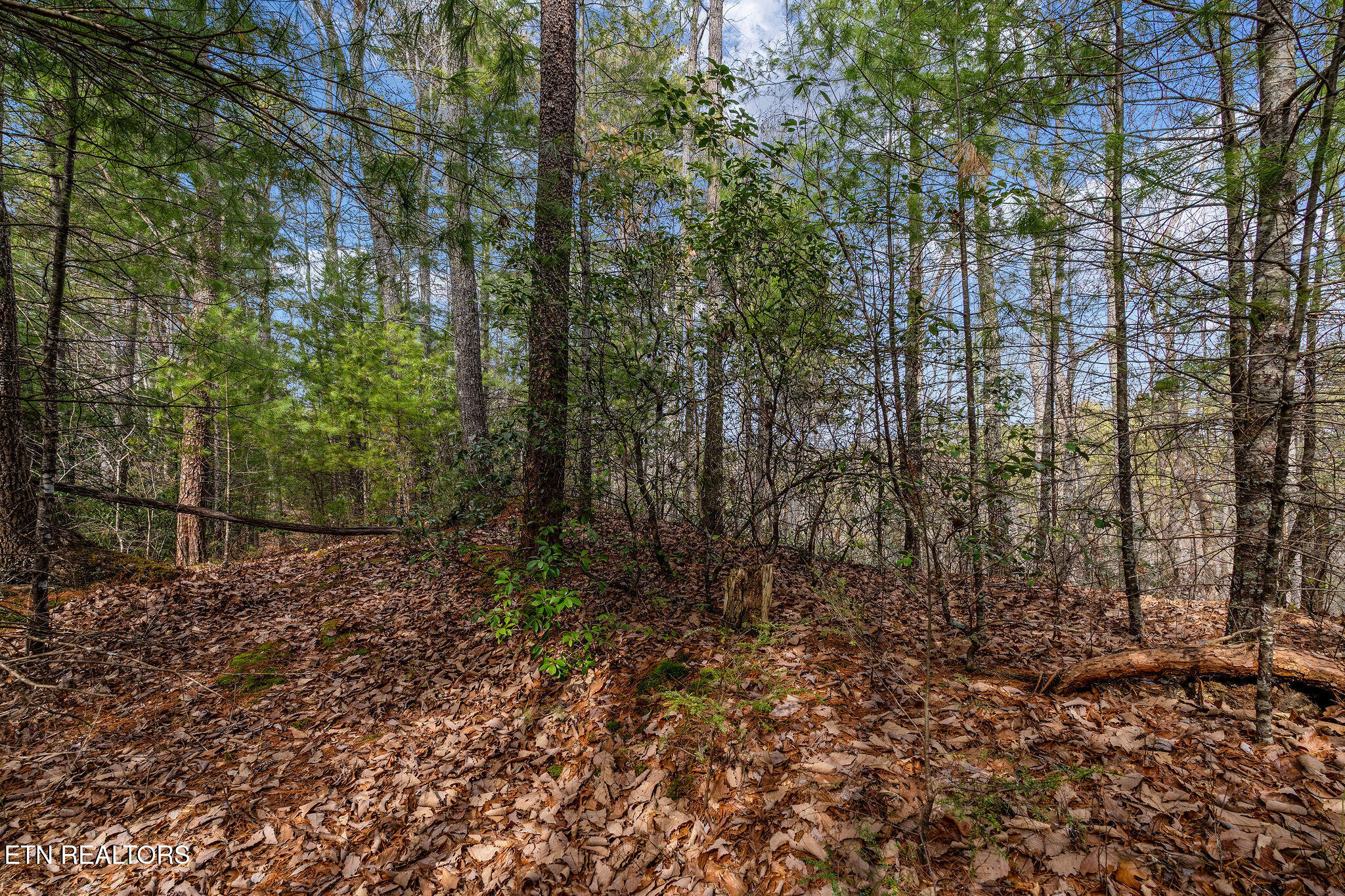 Lot 14 Paint Horse Way Sevierville TN 37876