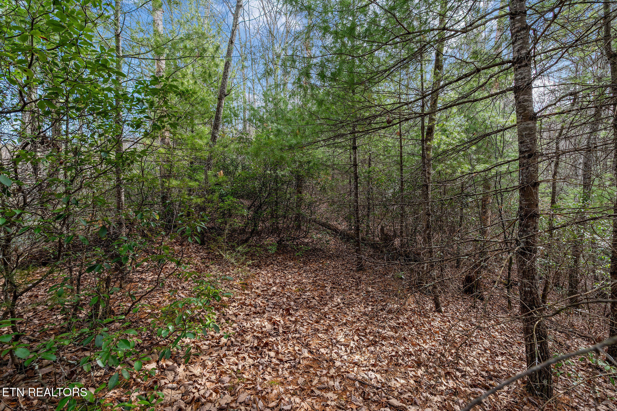 Lot 14 Paint Horse Way Sevierville TN 37876