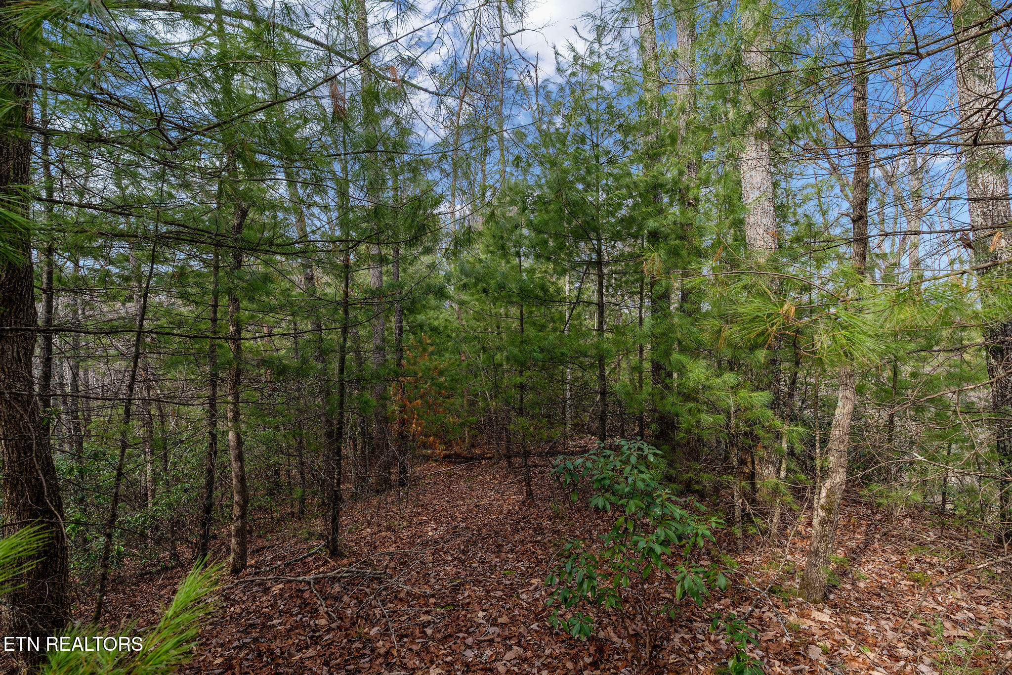 Lot 14 Paint Horse Way Sevierville TN 37876