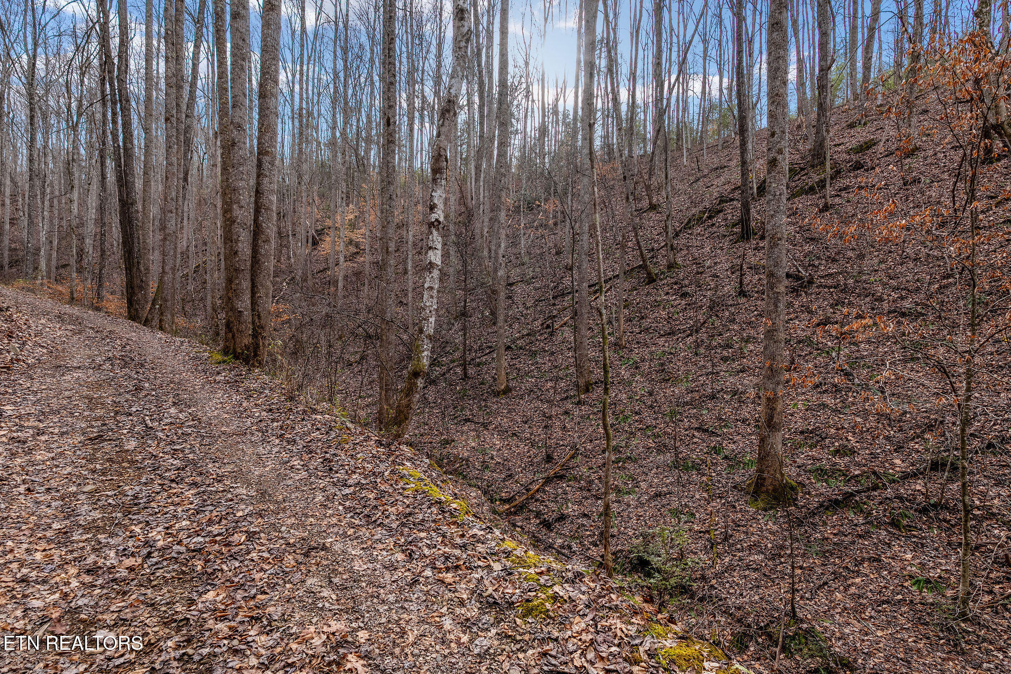 Lot 14 Paint Horse Way Sevierville TN 37876
