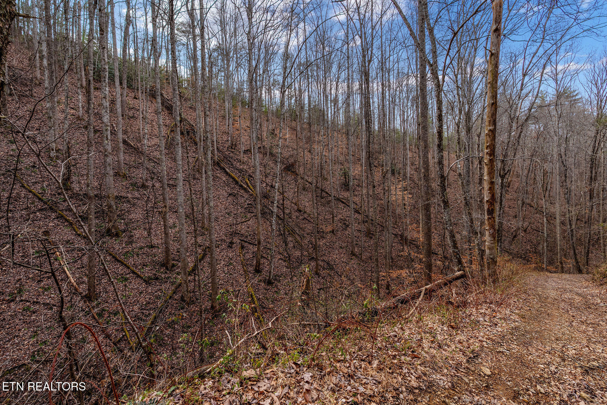 Lot 14 Paint Horse Way Sevierville TN 37876