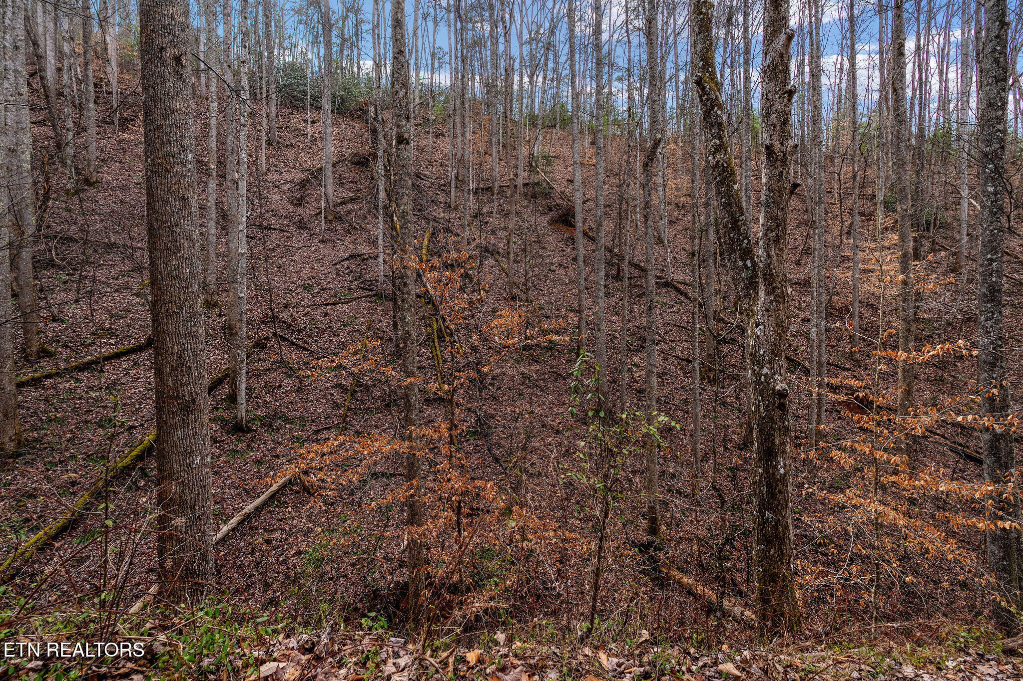 Lot 14 Paint Horse Way Sevierville TN 37876