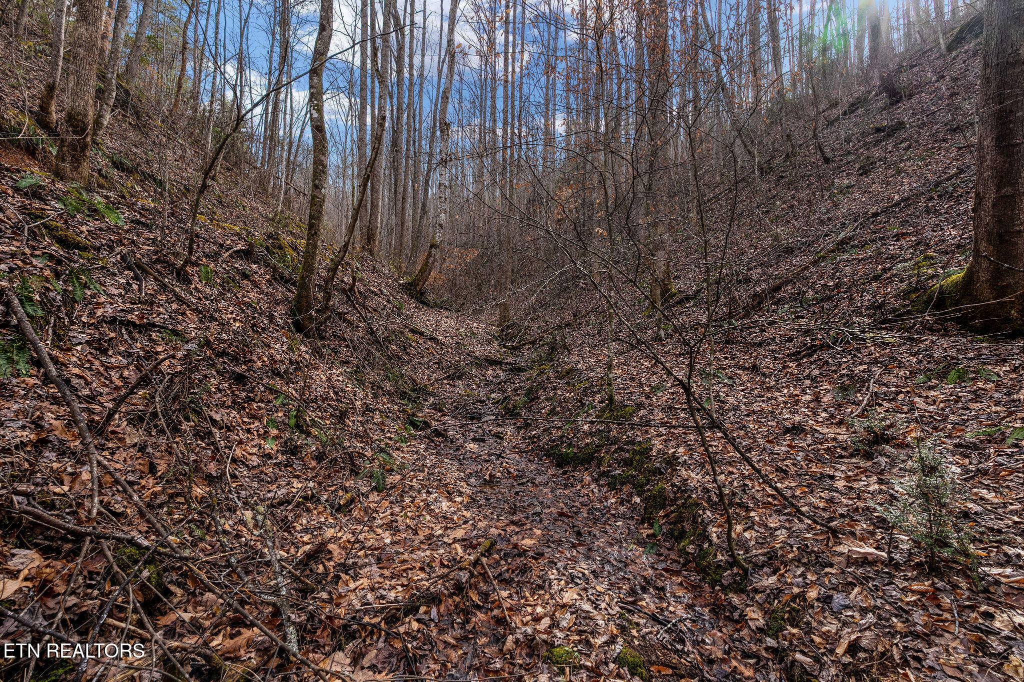 Lot 14 Paint Horse Way Sevierville TN 37876