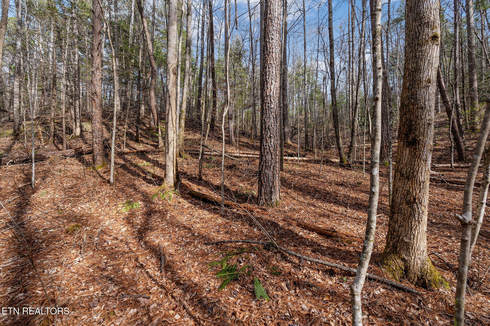 Lot 14 Paint Horse Way Sevierville TN 37876