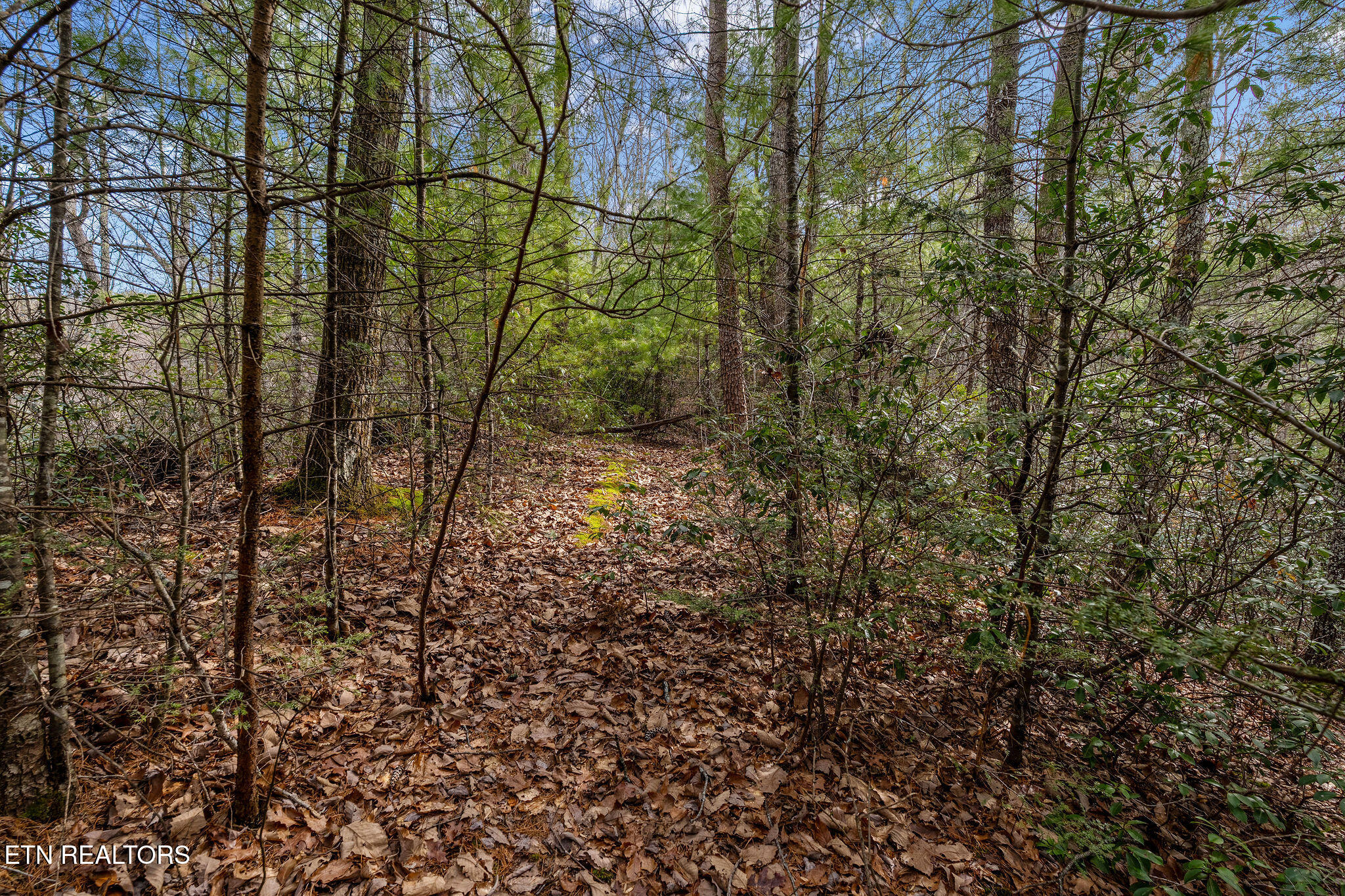 Lot 14 Paint Horse Way Sevierville TN 37876