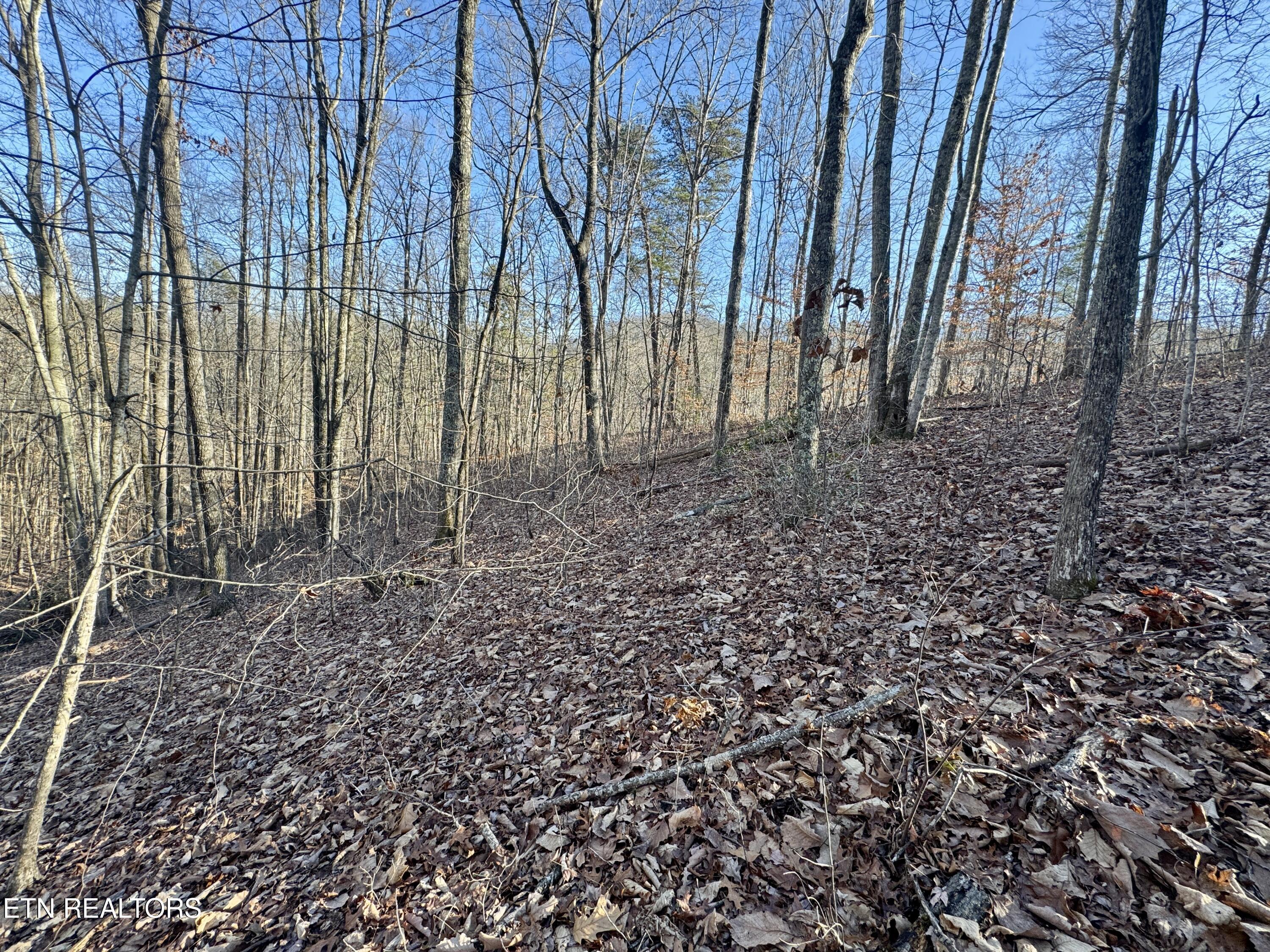 Gibson Hollow 2.33 Acres Road Sevierville TN 37876