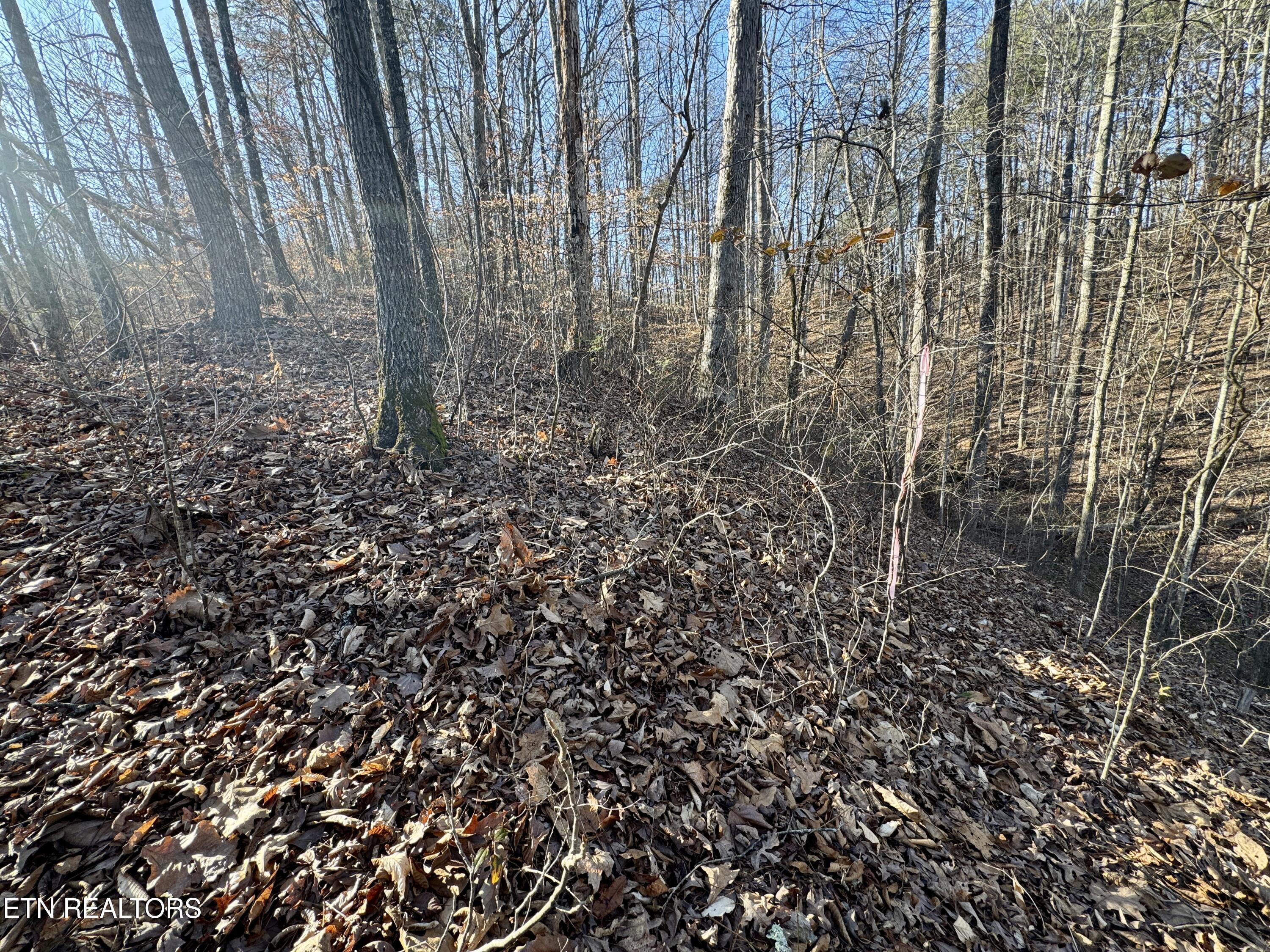 Gibson Hollow 2.33 Acres Road Sevierville TN 37876