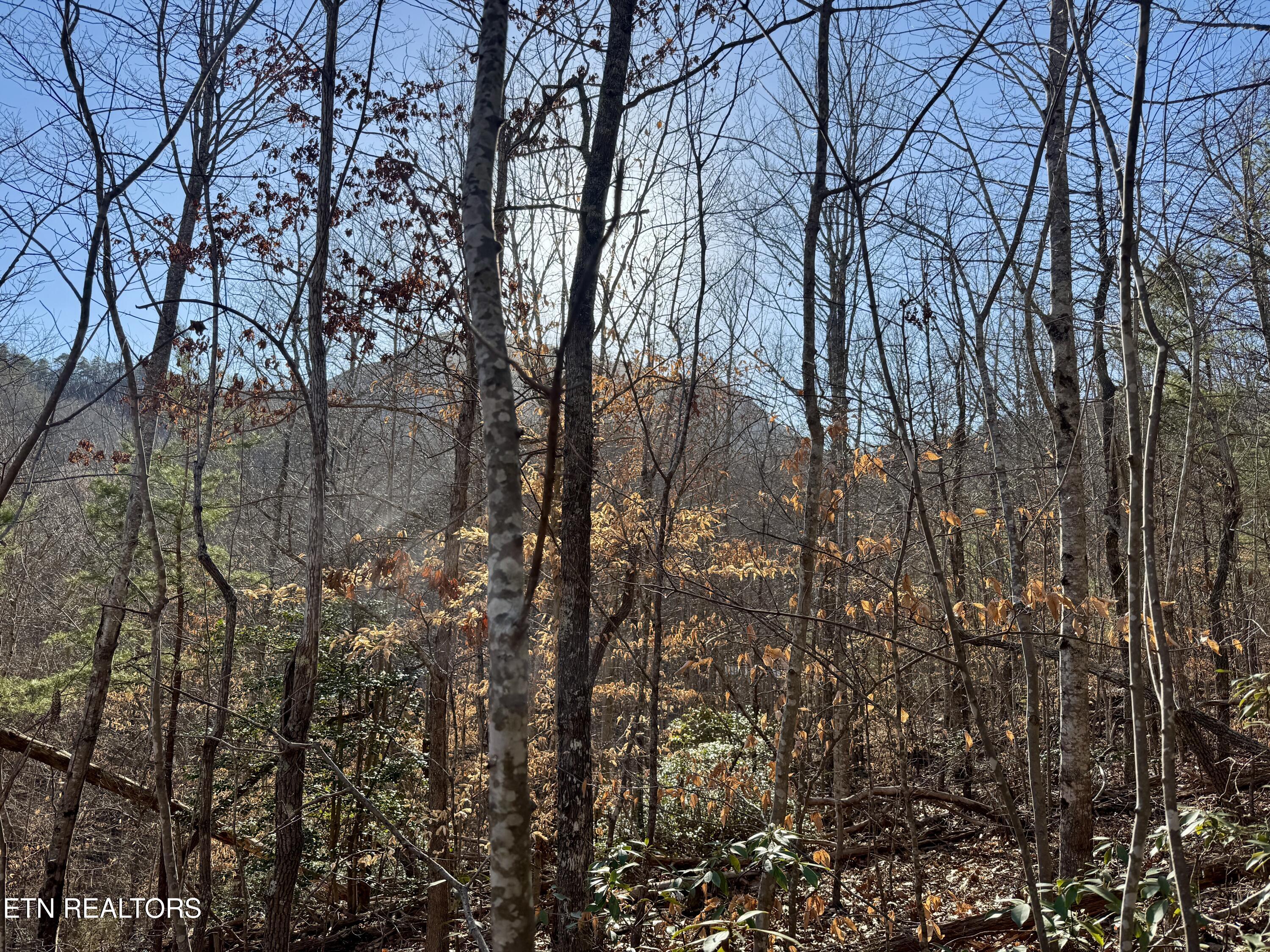 Gibson Hollow 2.33 Acres Road Sevierville TN 37876